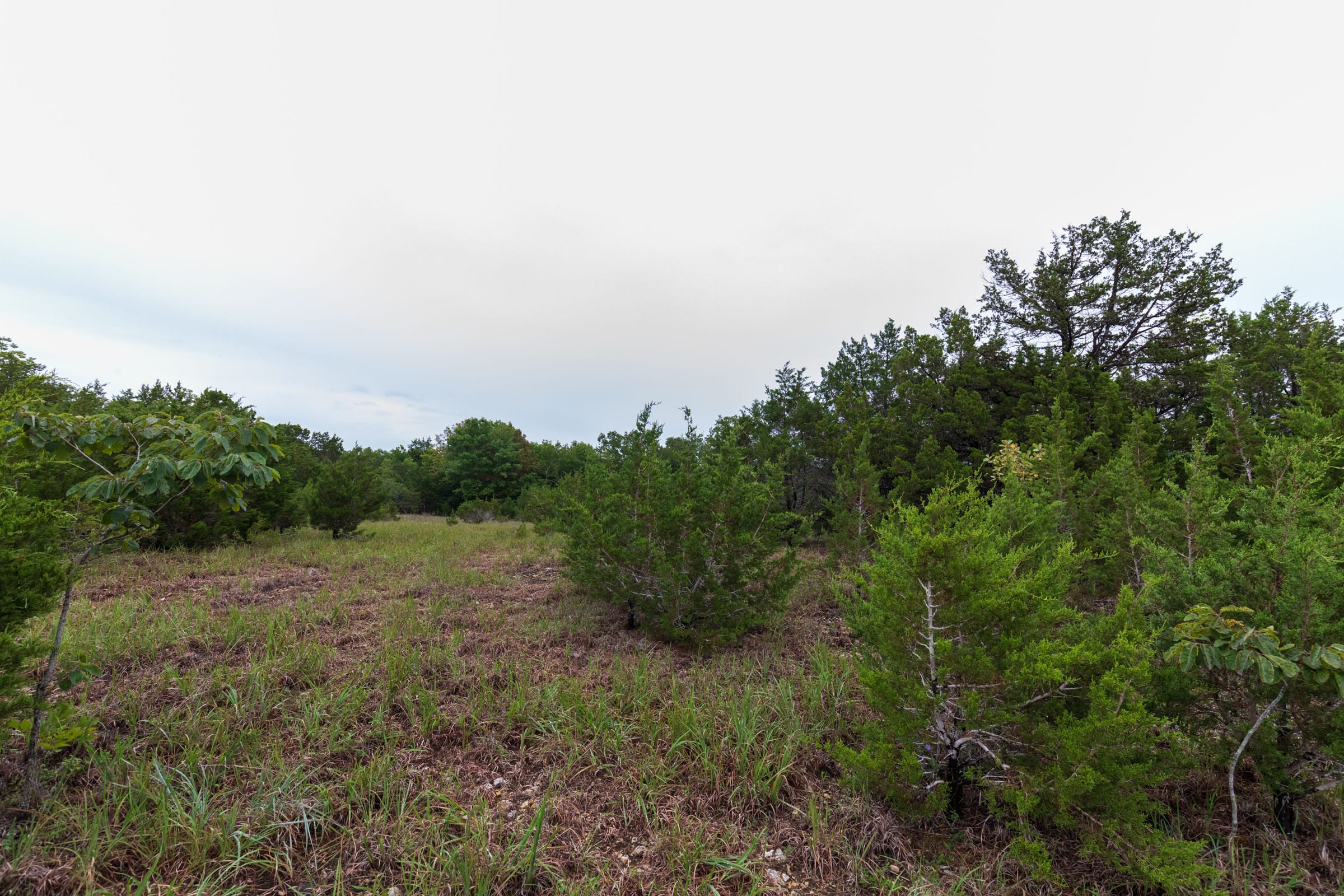 Heritage Bend Tract 42 photo 9