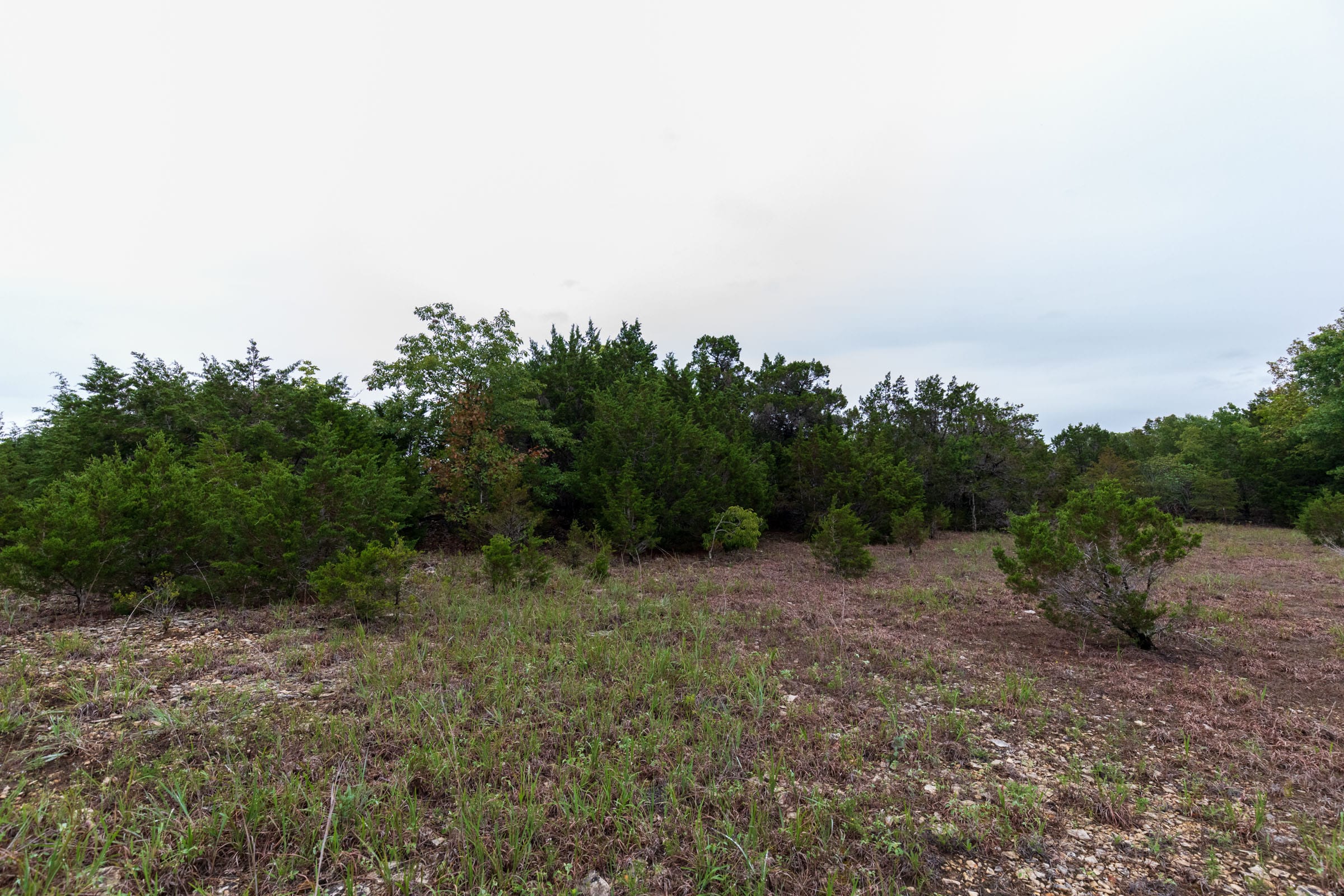 Heritage Bend Tract 42 photo 6