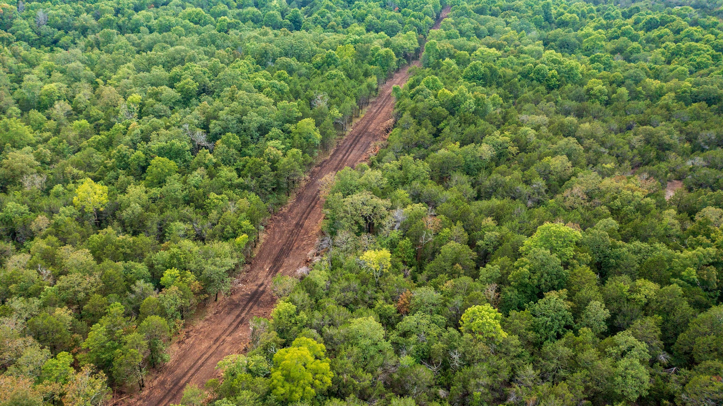 Heritage Bend Tract 42 photo 13