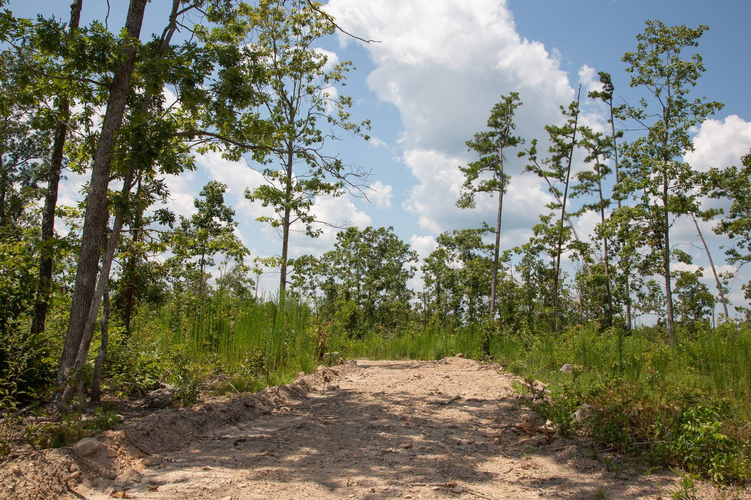 Borgmann’s Hollow Phase I Tract 16 photo 1