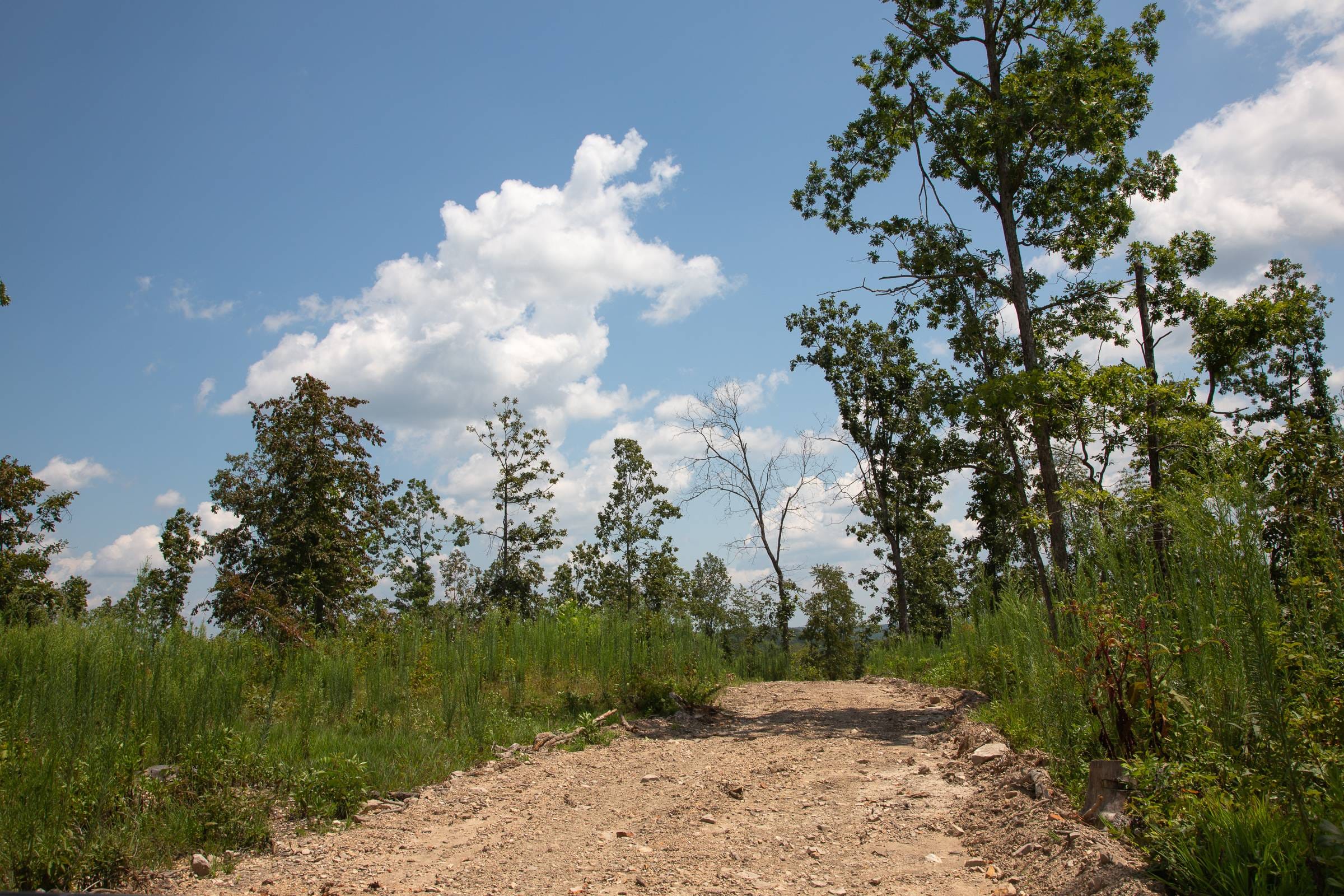 Borgmann’s Hollow Phase I Tract 16 photo 7