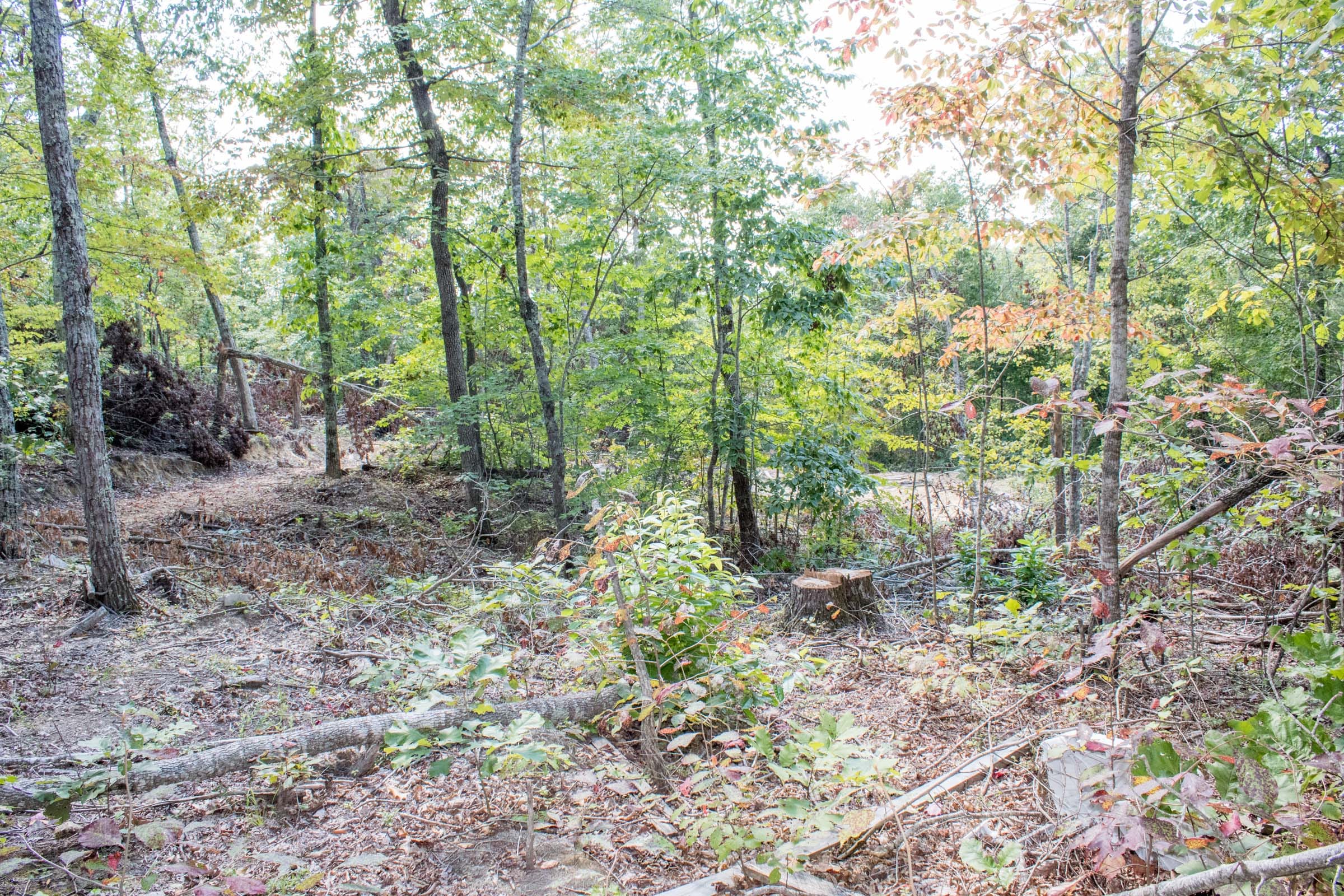 Buck Run Ridge Tract 30 photo 2