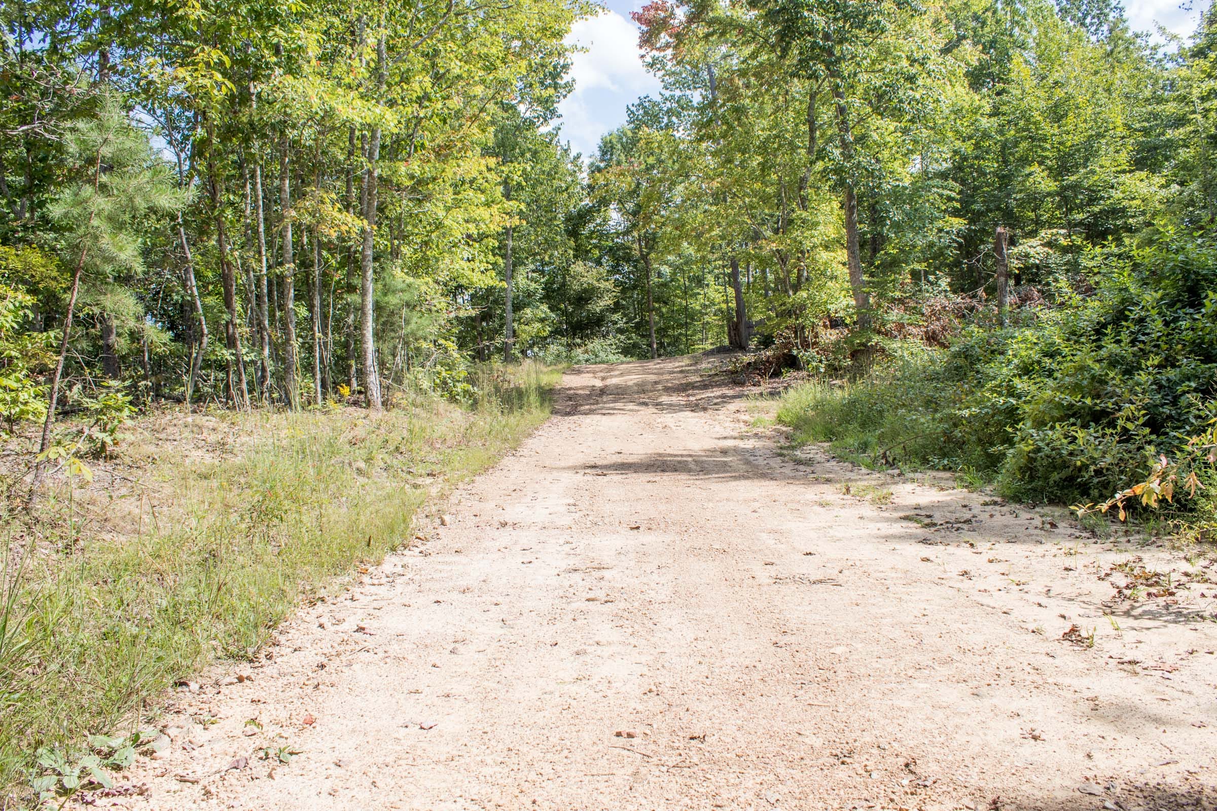Buck Run Ridge Tract 30 photo 5