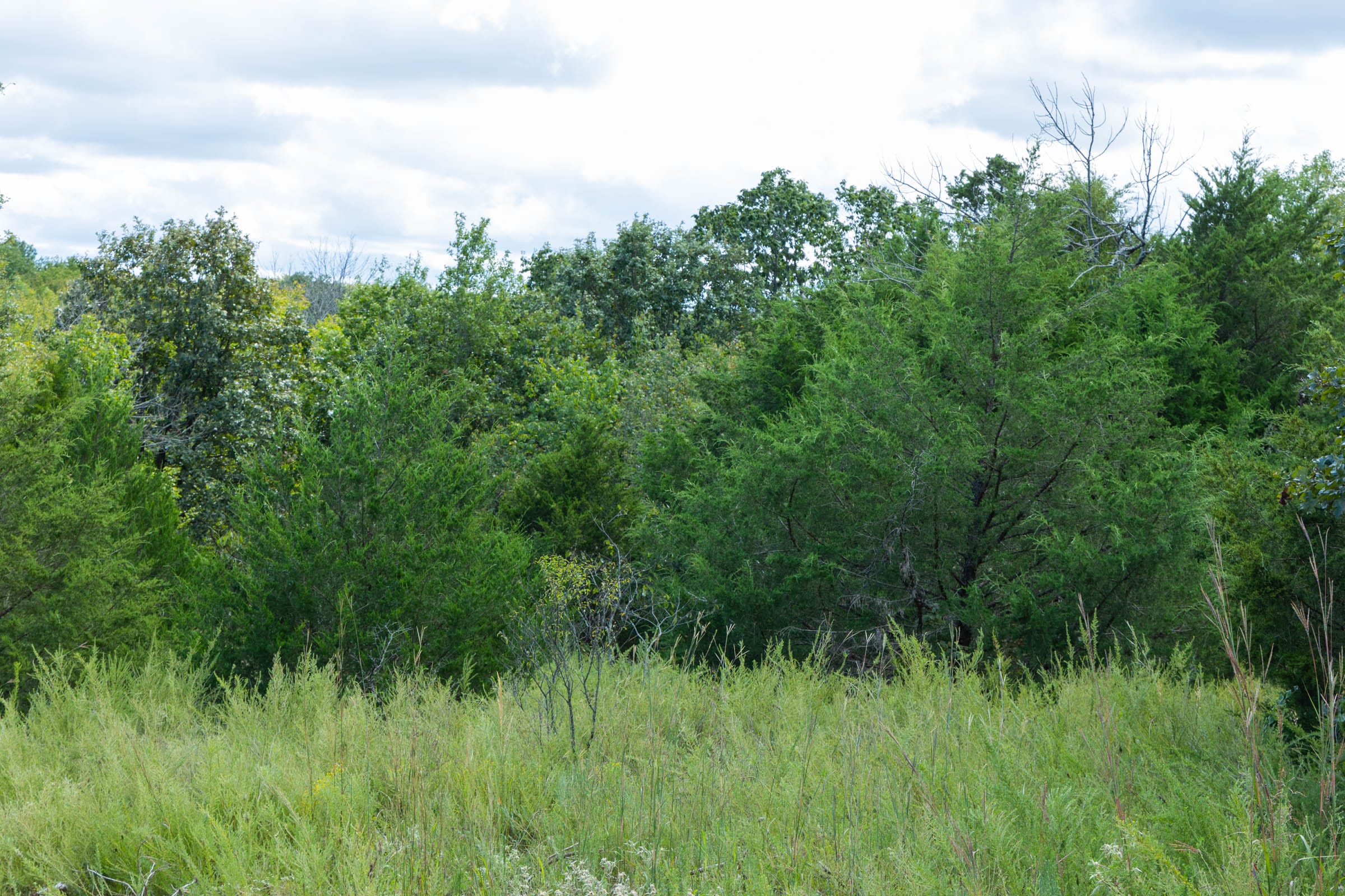 Reserves At Cattail Cove Phase II Tract 66 photo 11