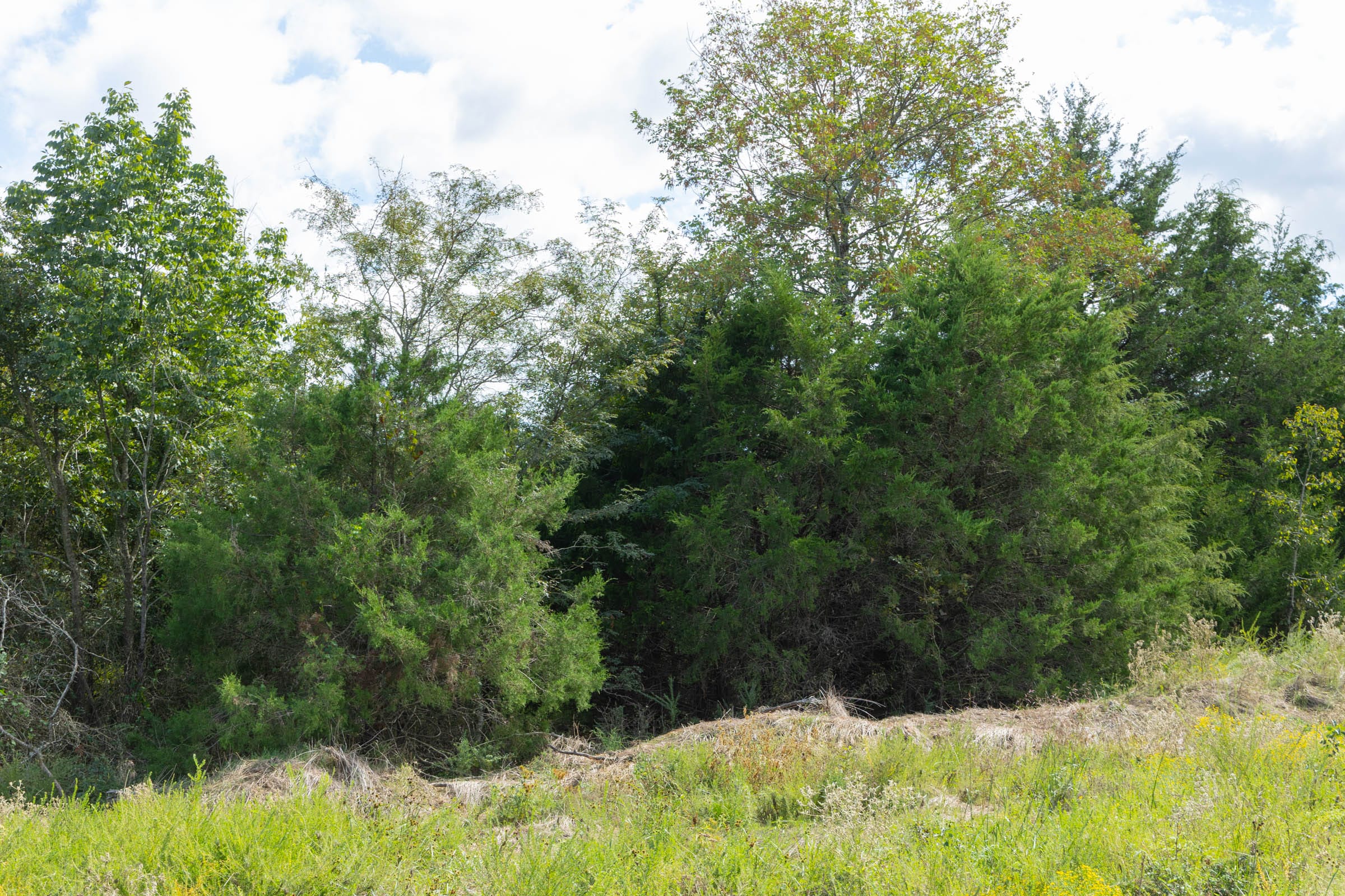 Reserves At Cattail Cove Phase II Tract 66 photo 9