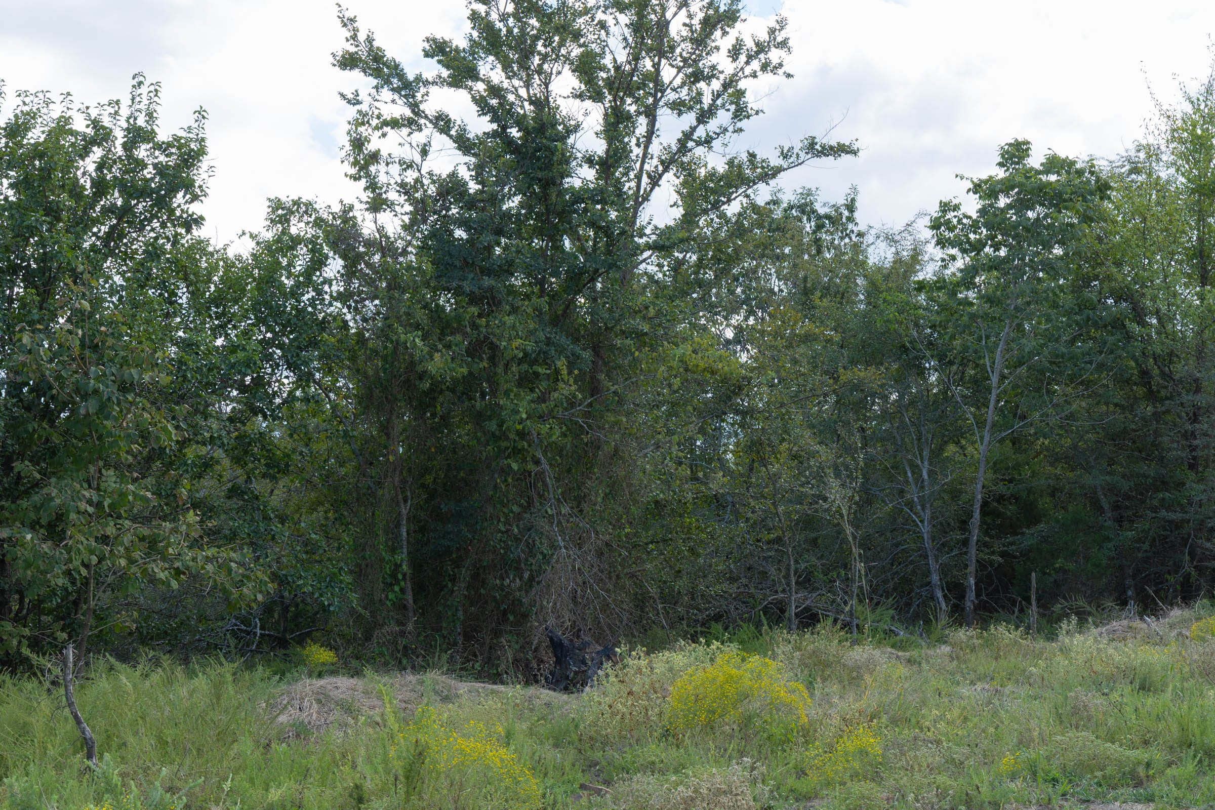 Reserves At Cattail Cove Phase II Tract 66 photo 10