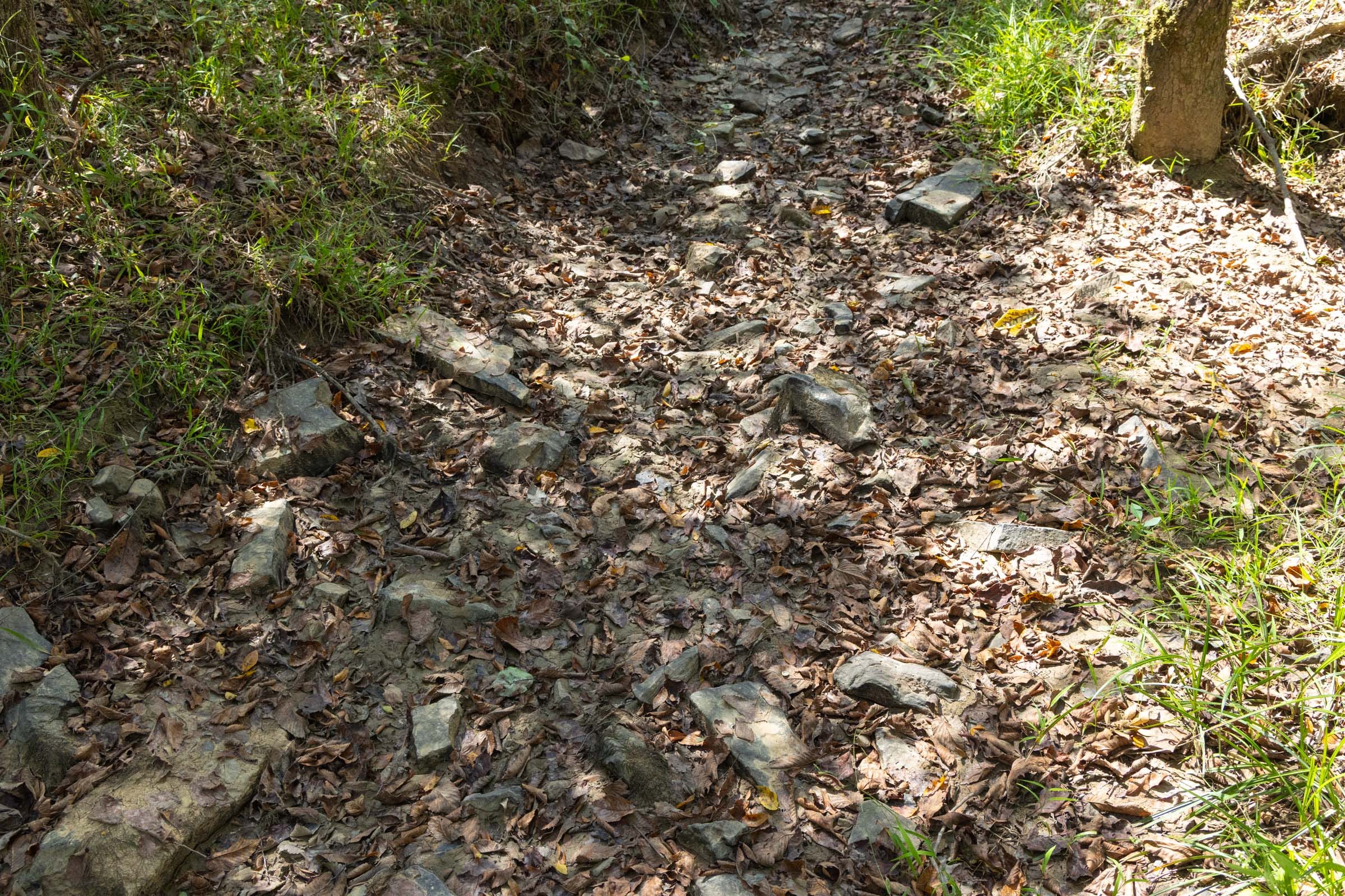 Reserves At Cattail Cove Phase II Tract 66 photo 6