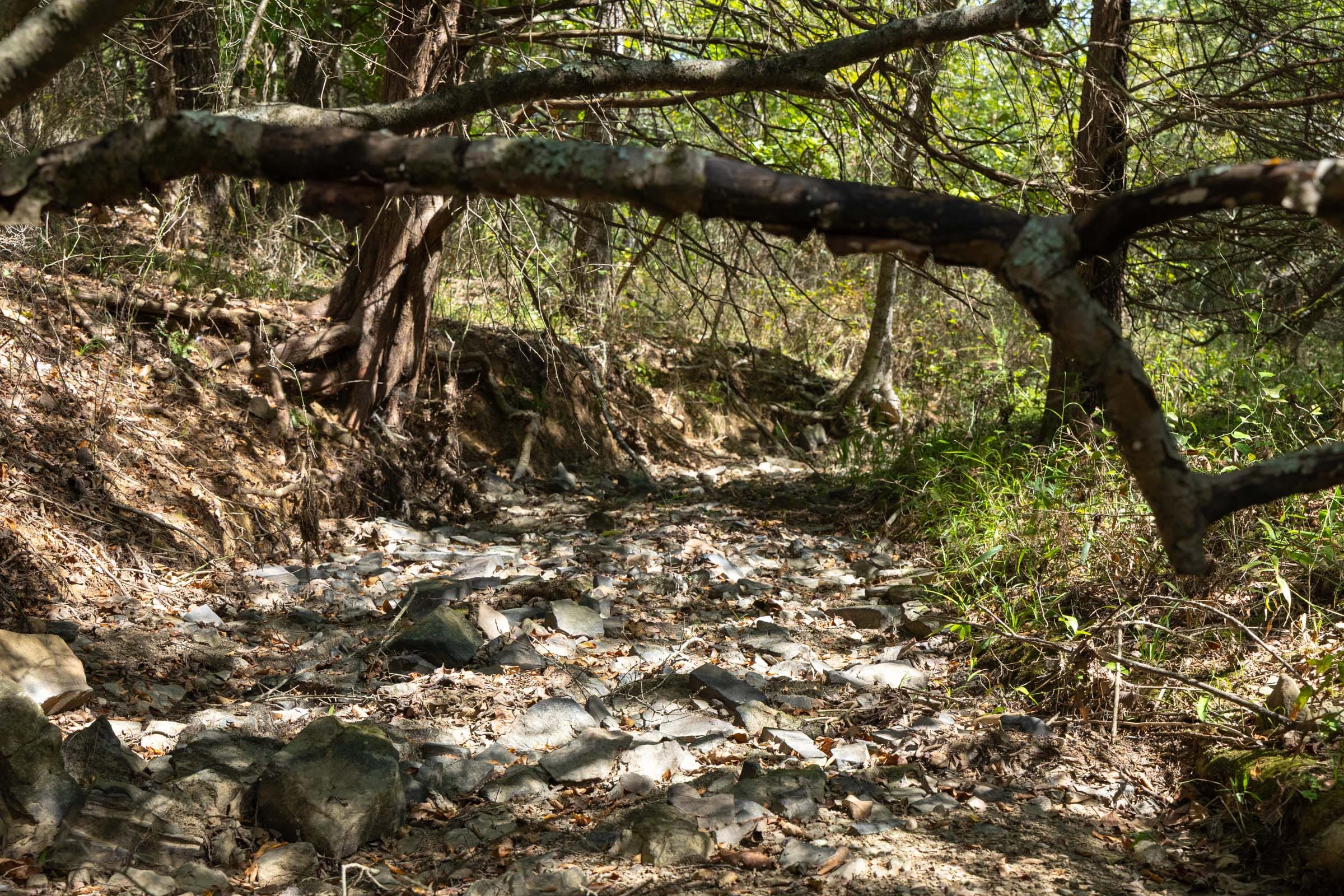 Reserves At Cattail Cove Phase II Tract 66 photo 5