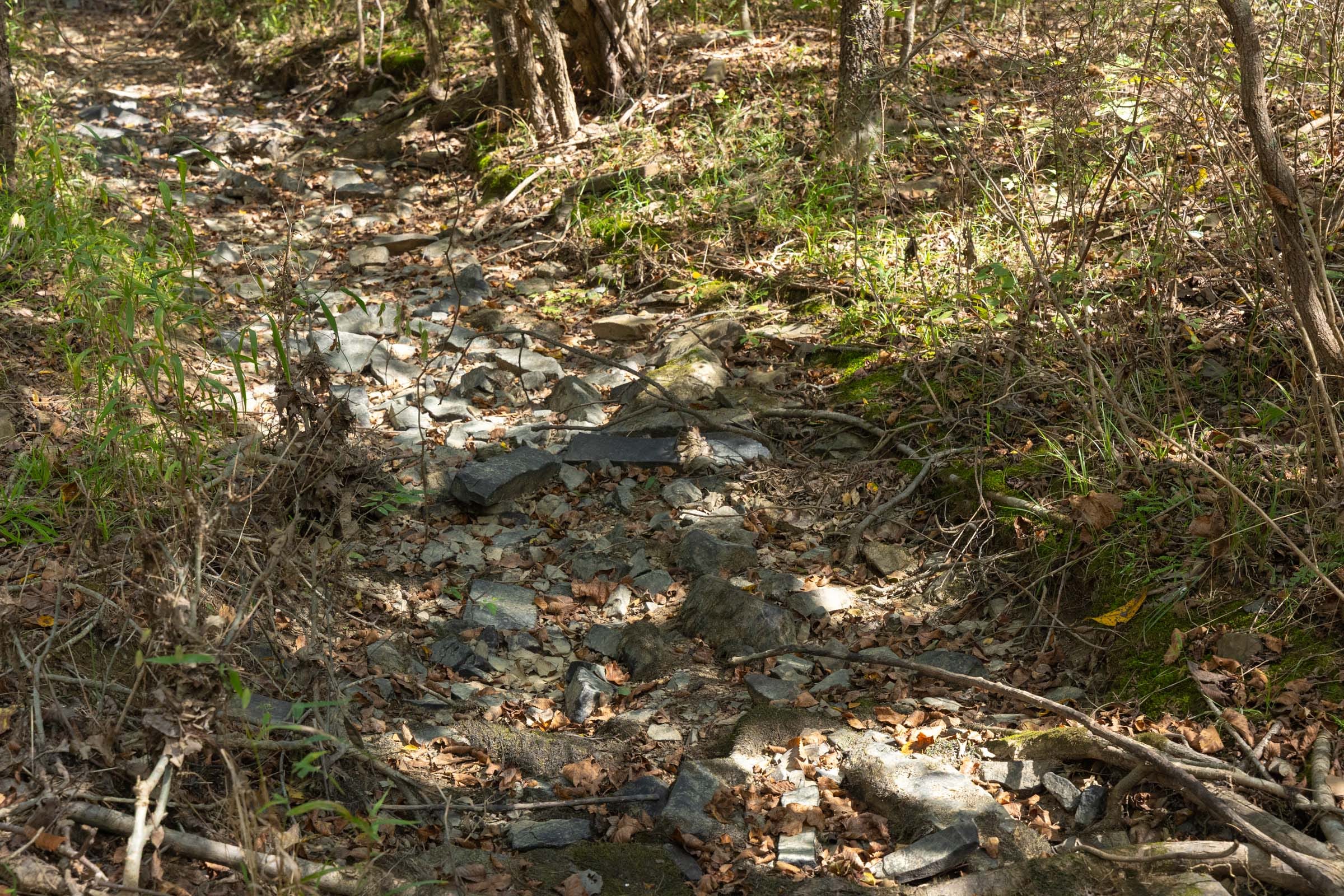 Reserves At Cattail Cove Phase II Tract 66 photo 7
