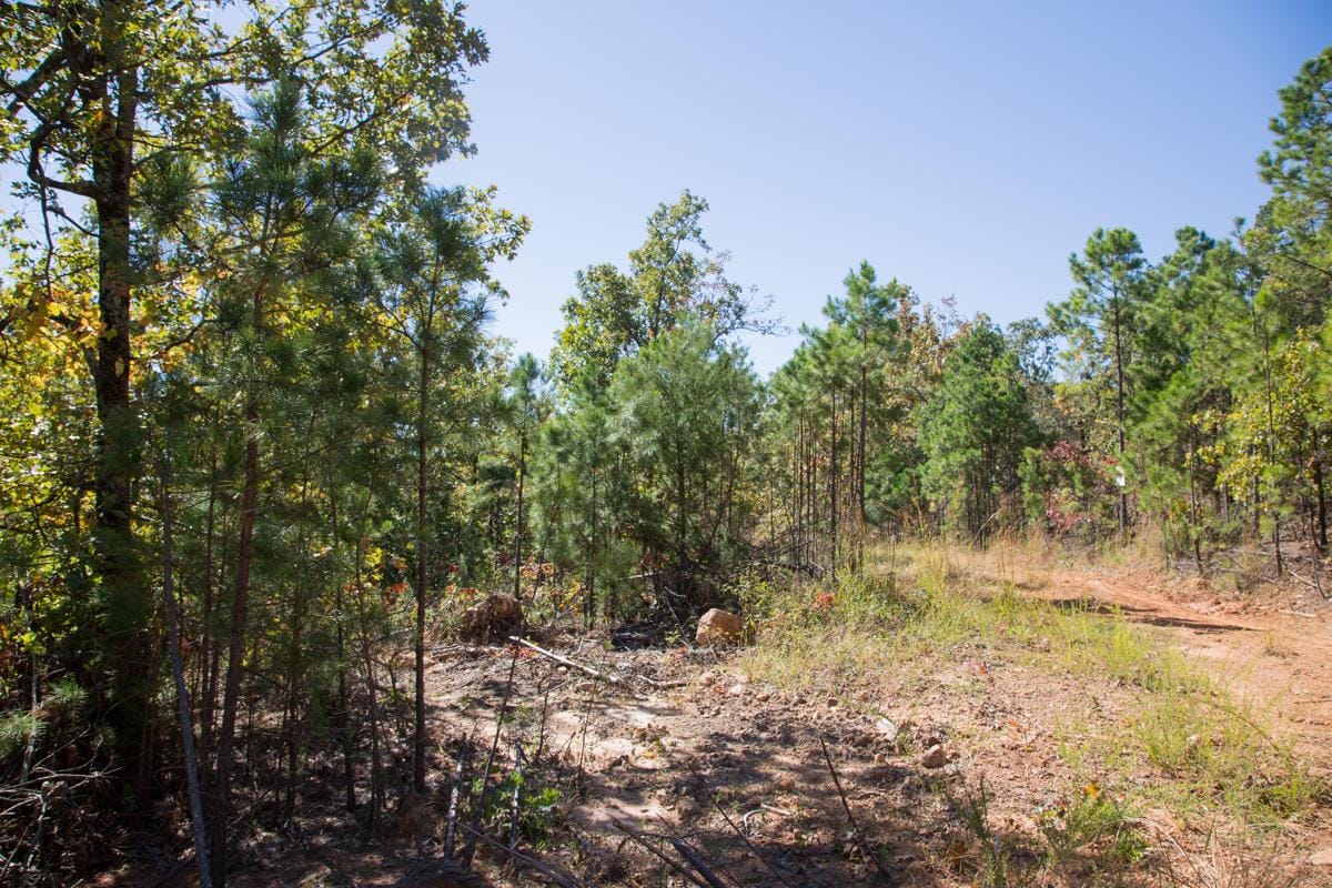 Stone Creek Phase I Tract 106 photo 1