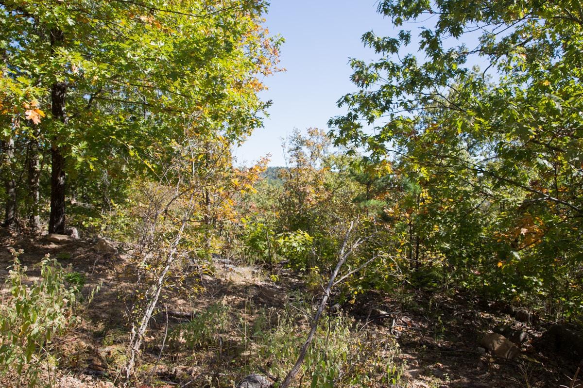 Stone Creek Phase I Tract 106 photo 5