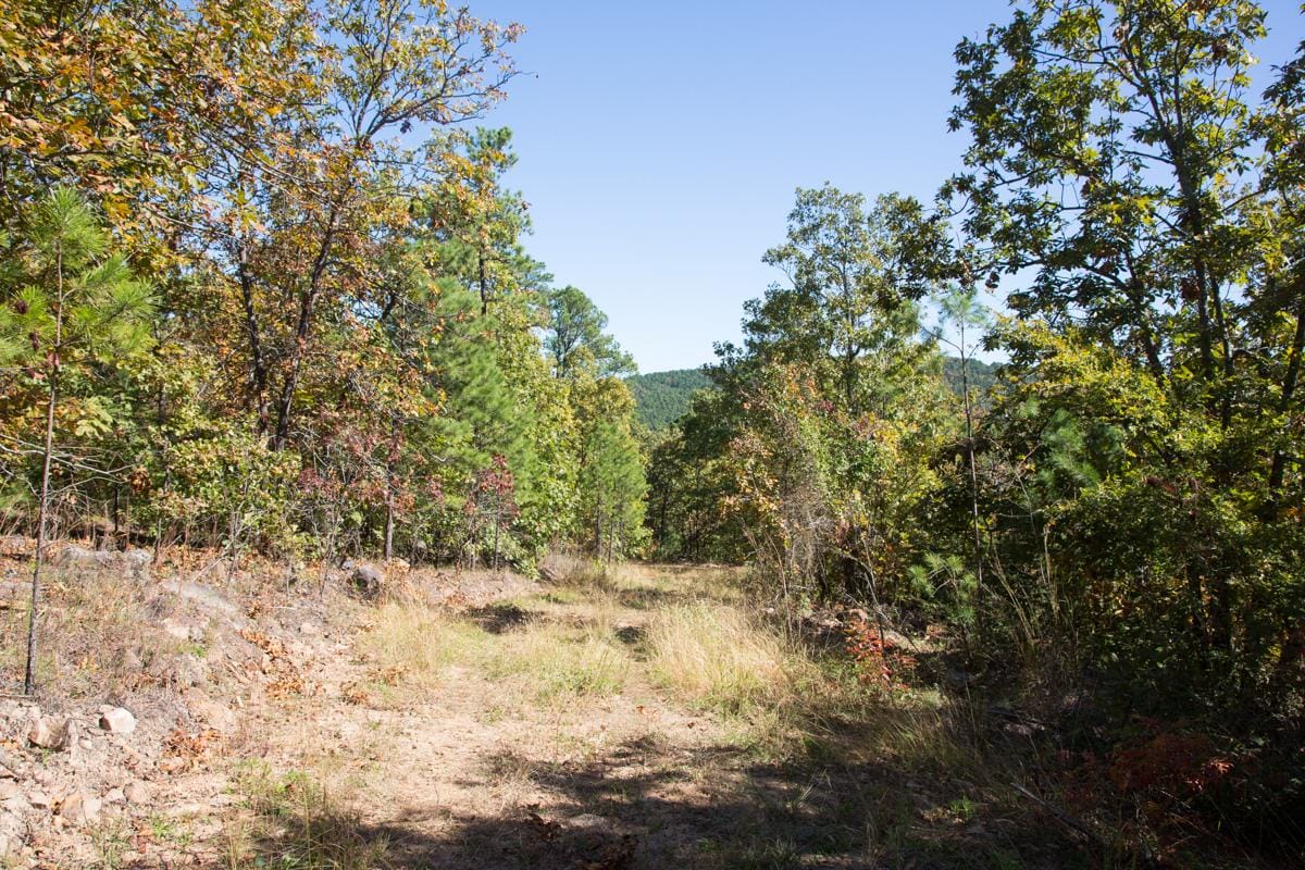 Stone Creek Phase I Tract 106 photo 6