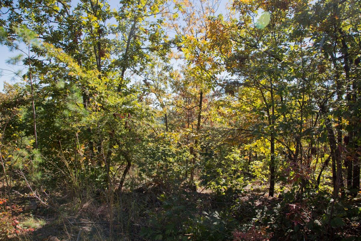Stone Creek Phase I Tract 106 photo 7