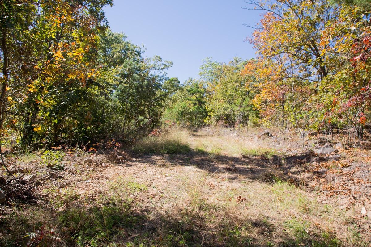 Stone Creek Phase I Tract 106 photo 8