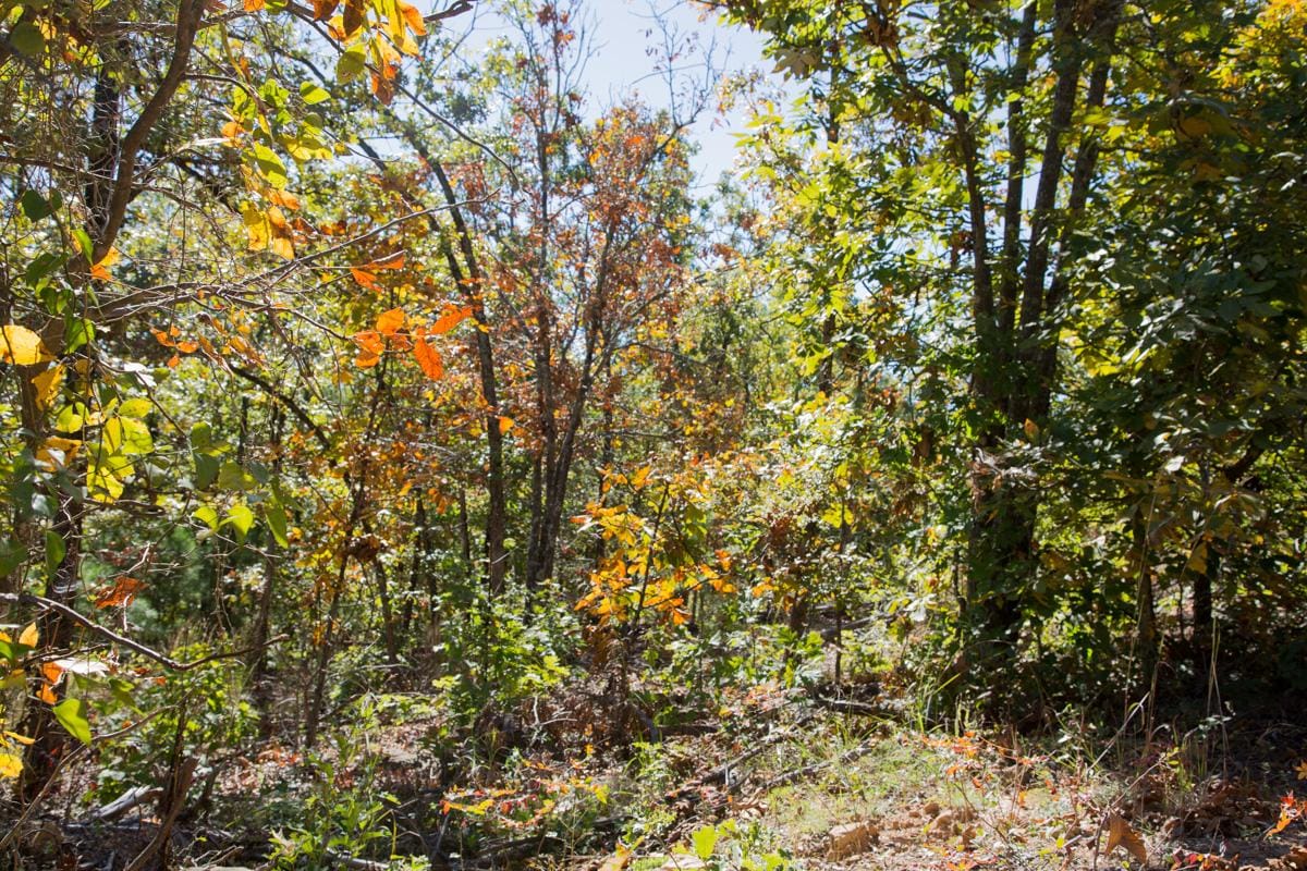 Stone Creek Phase I Tract 106 photo 9