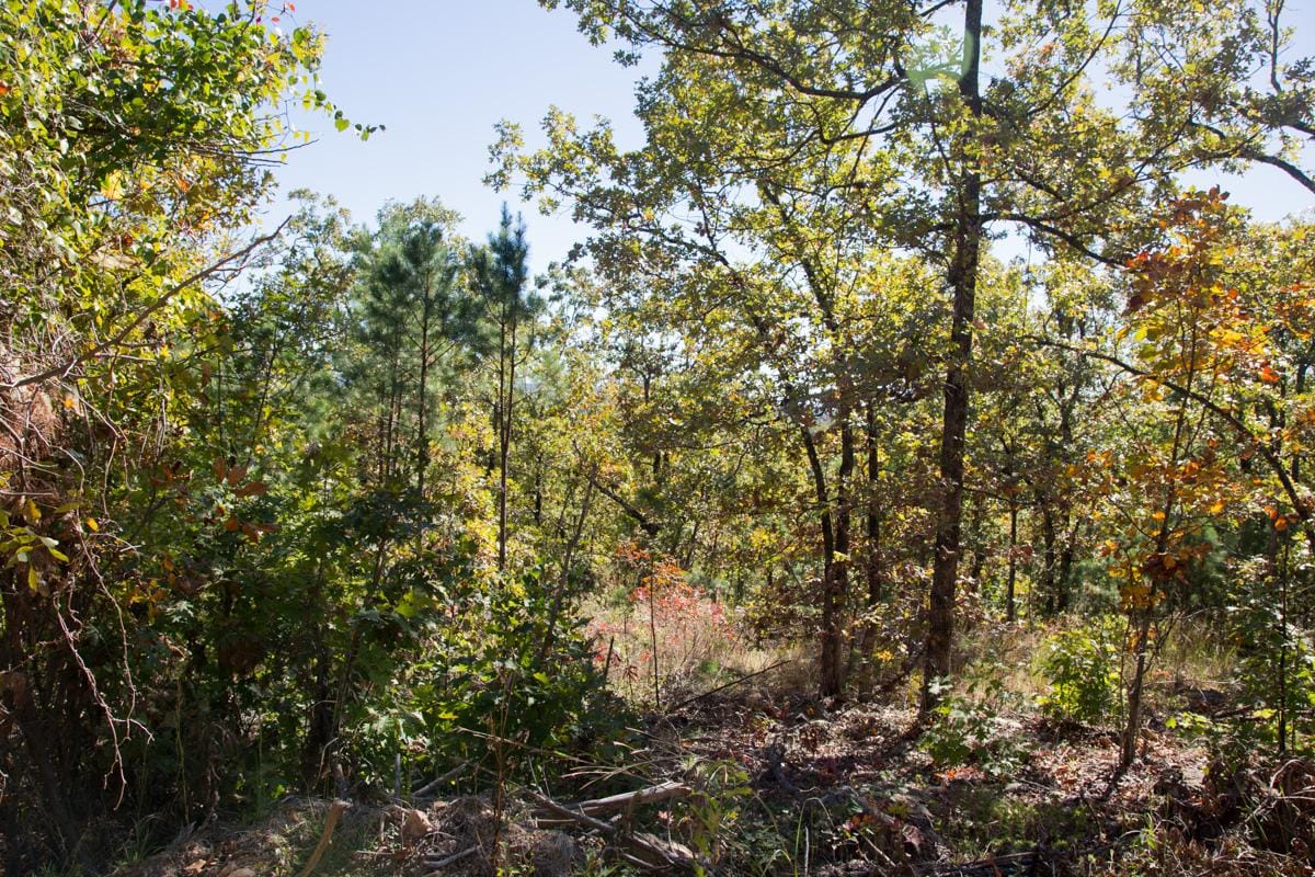 Stone Creek Phase I Tract 106 photo 10
