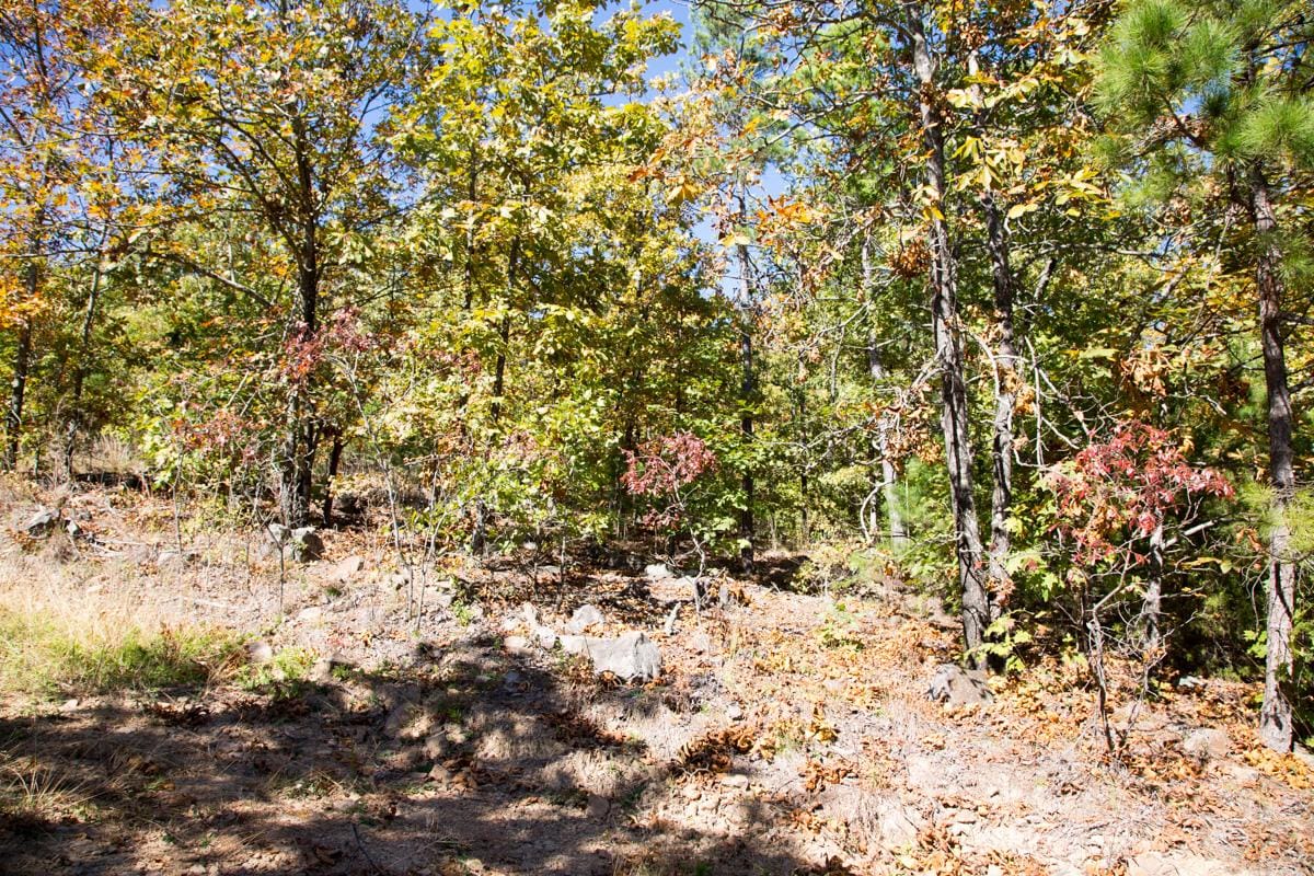 Stone Creek Phase I Tract 106 photo 11