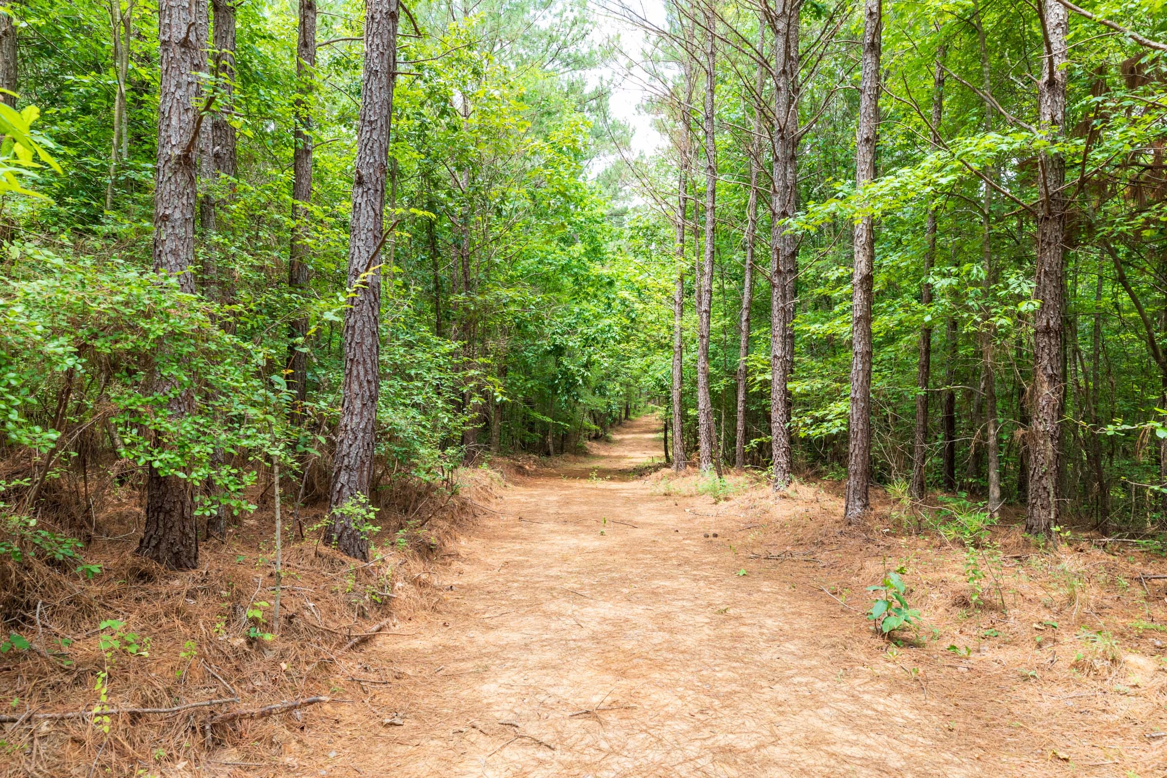 Whiskey Ridge Tract 27 photo 1