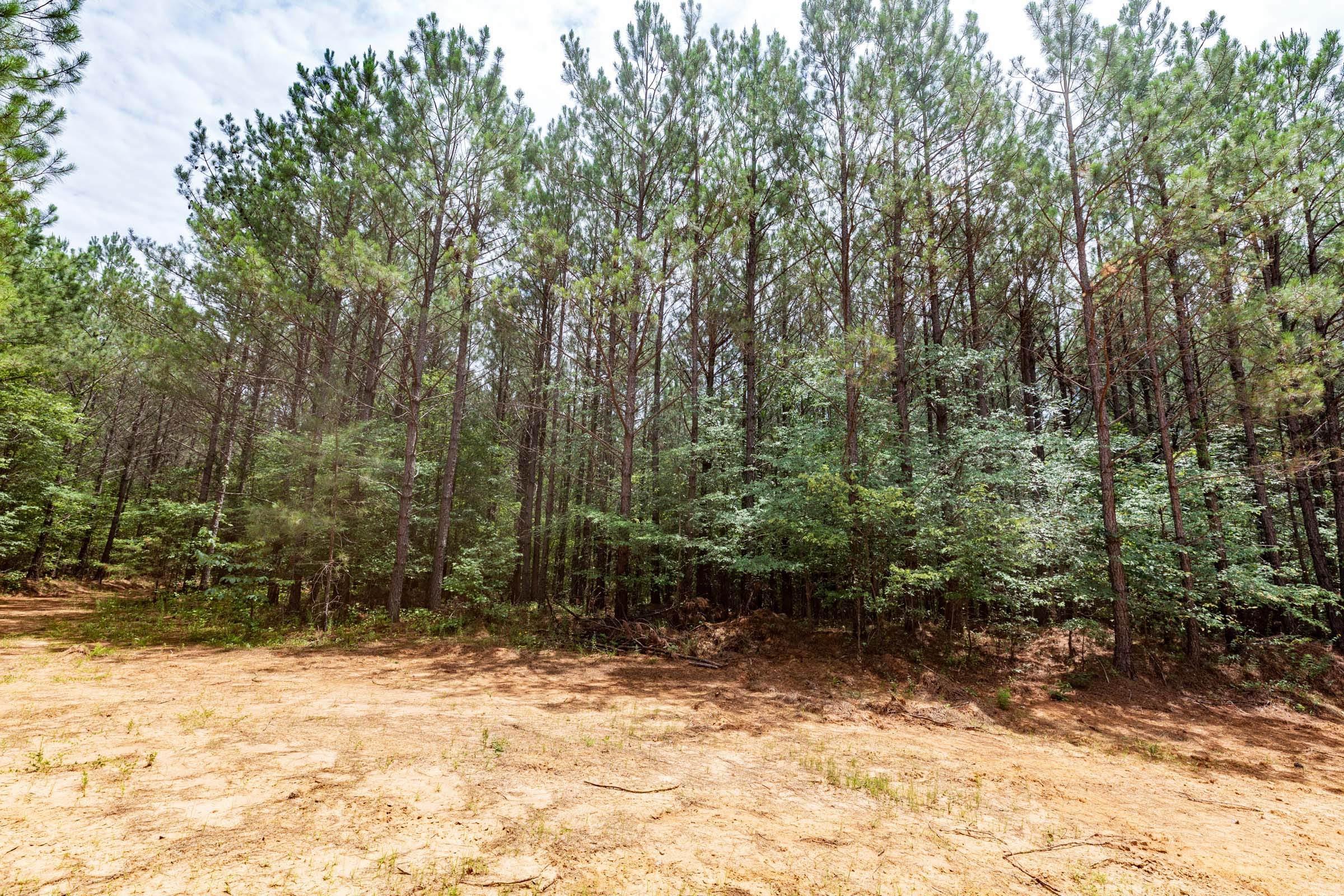 Whiskey Ridge Tract 27 photo 11
