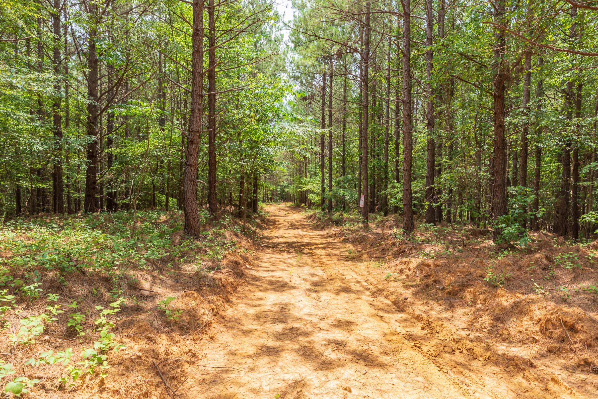 Whiskey Ridge Tract 27 photo 10