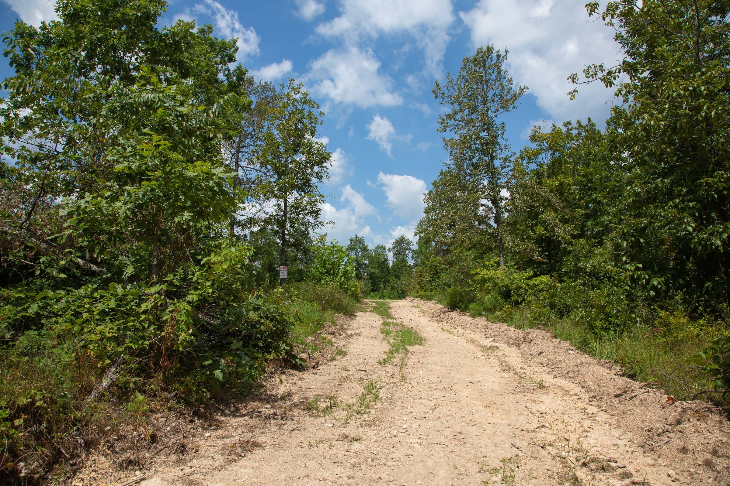 Borgmann’s Hollow Phase I Tract 8 photo 1