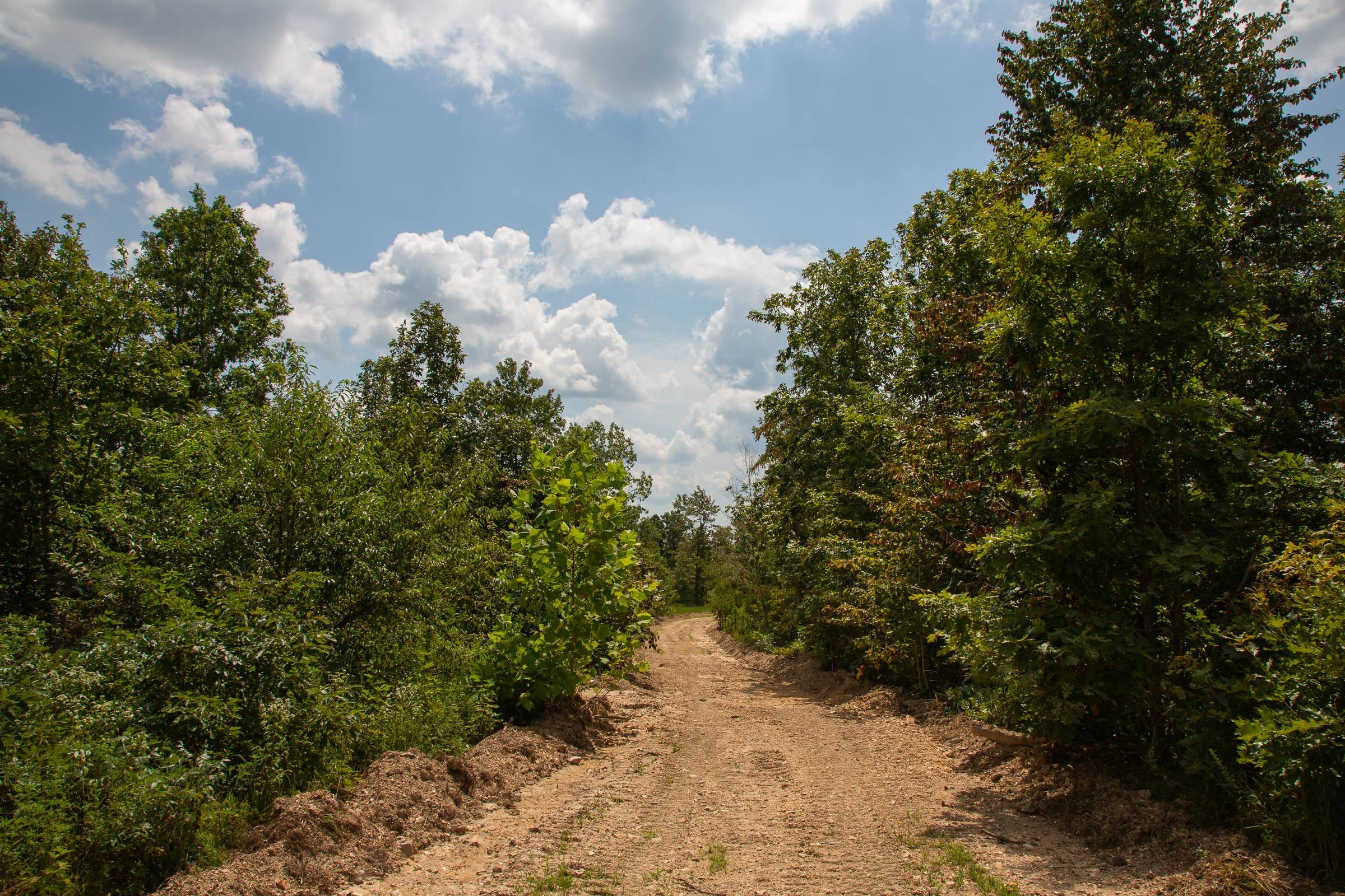 Borgmann’s Hollow Phase I Tract 8 photo 8