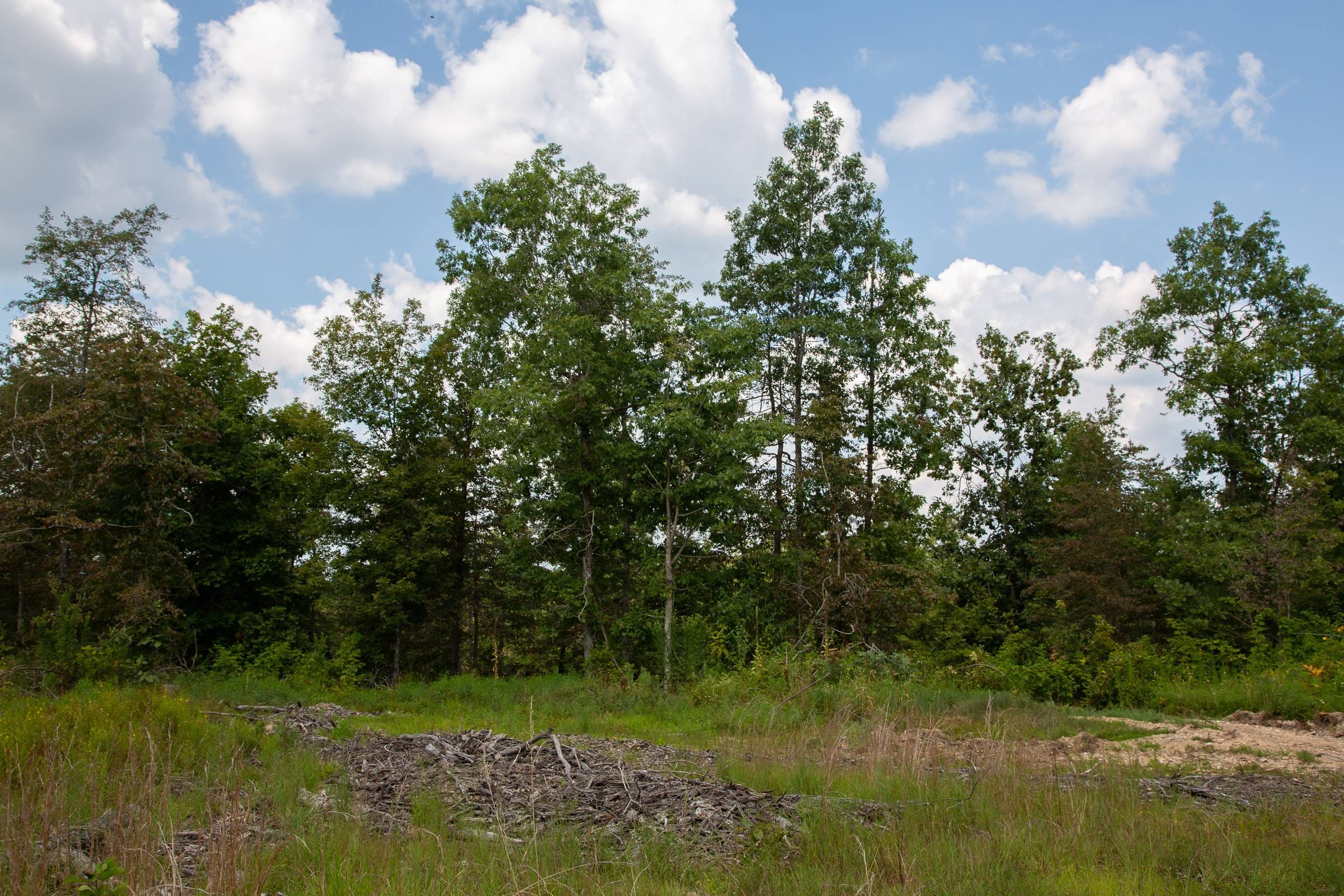 Borgmann’s Hollow Phase I Tract 8 photo 11