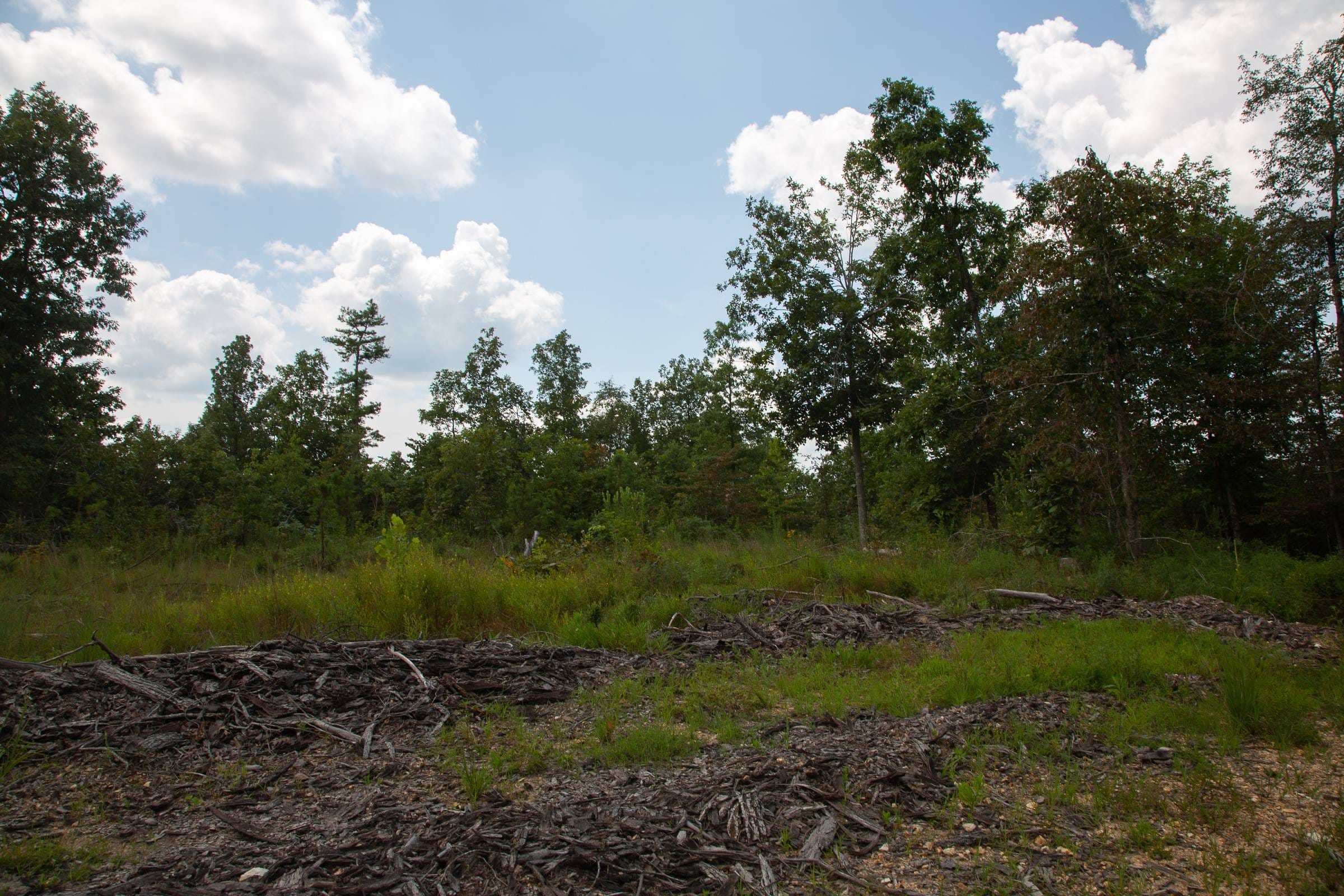Borgmann’s Hollow Phase I Tract 8 photo 15