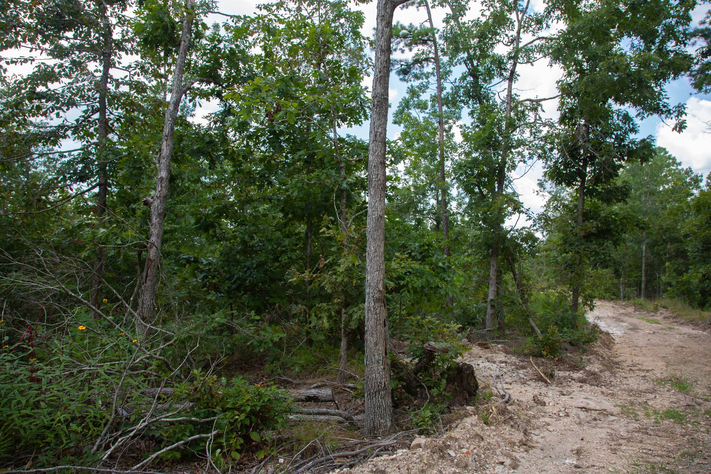 Borgmann’s Hollow Phase I Tract 8 photo 17