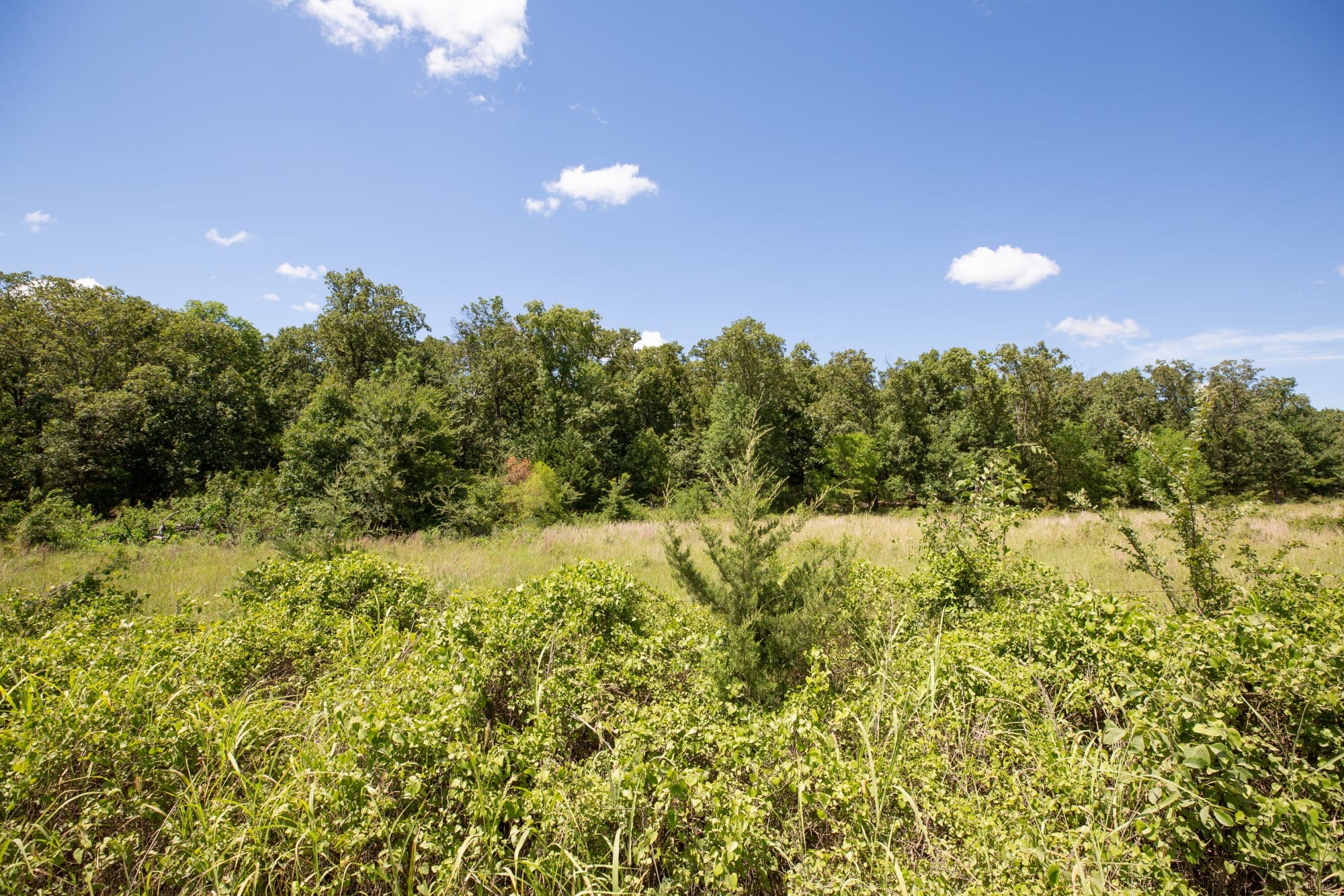 Paradise Valley Tract 22 photo 2