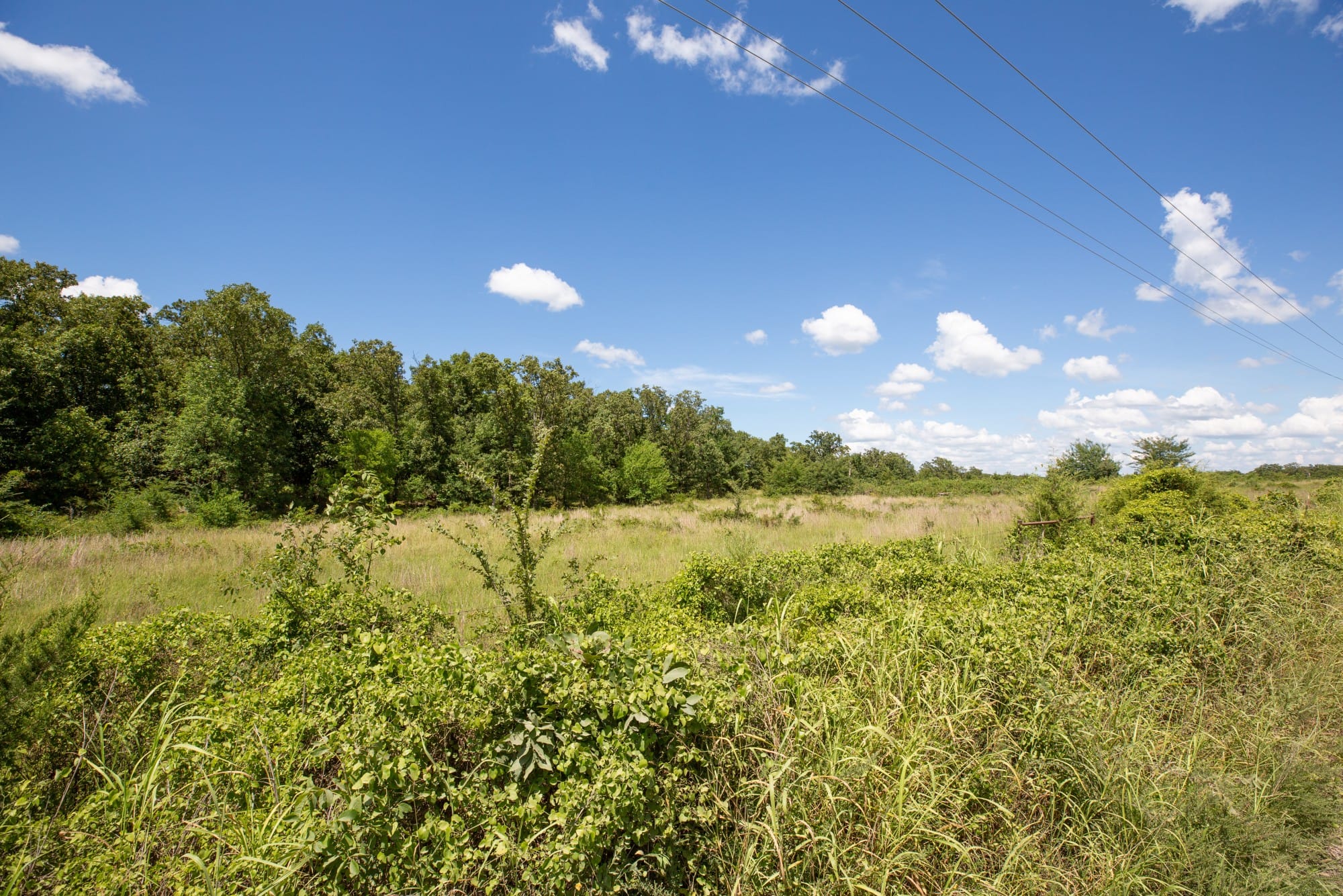 Paradise Valley Tract 22 photo 4