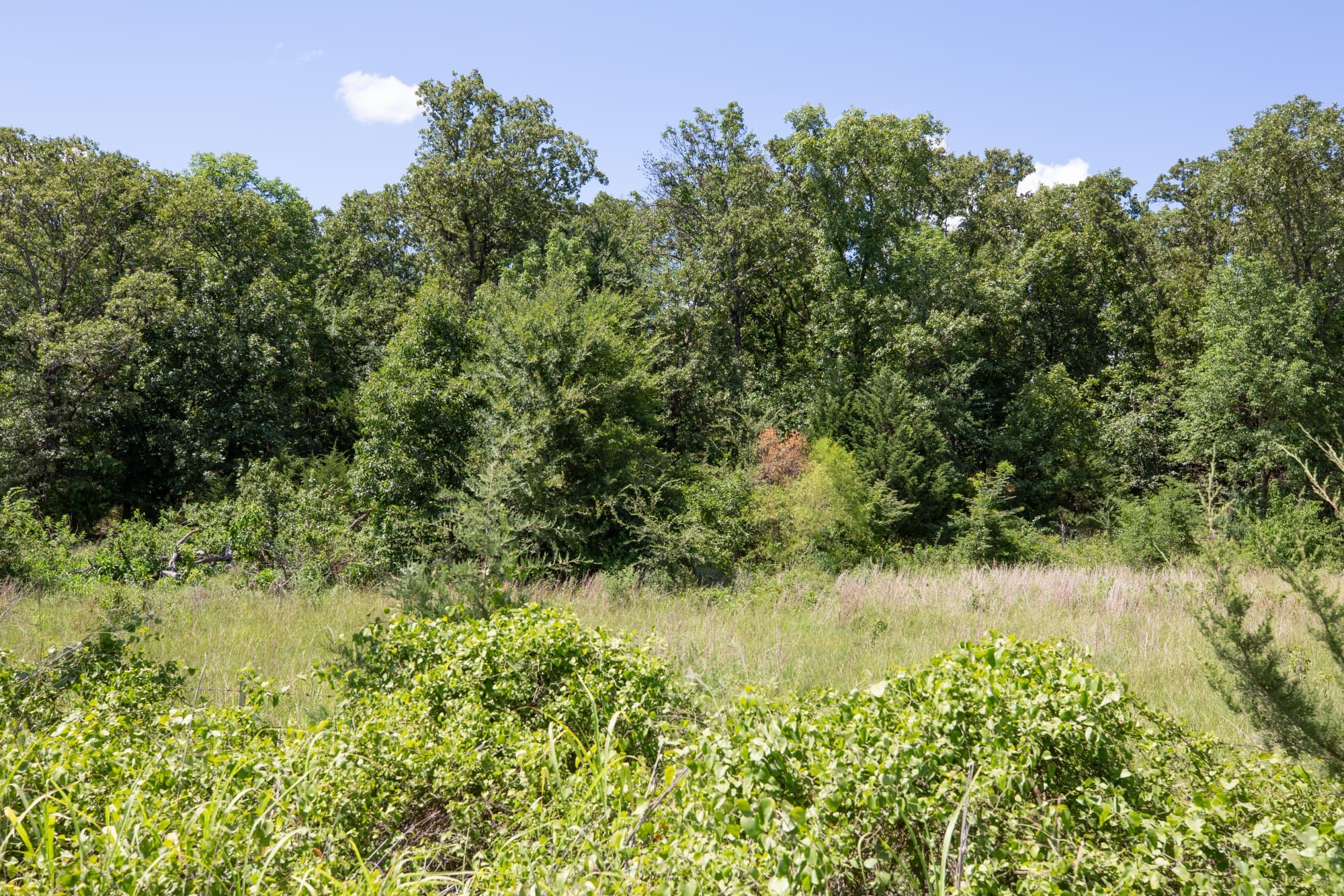 Paradise Valley Tract 22 photo 3