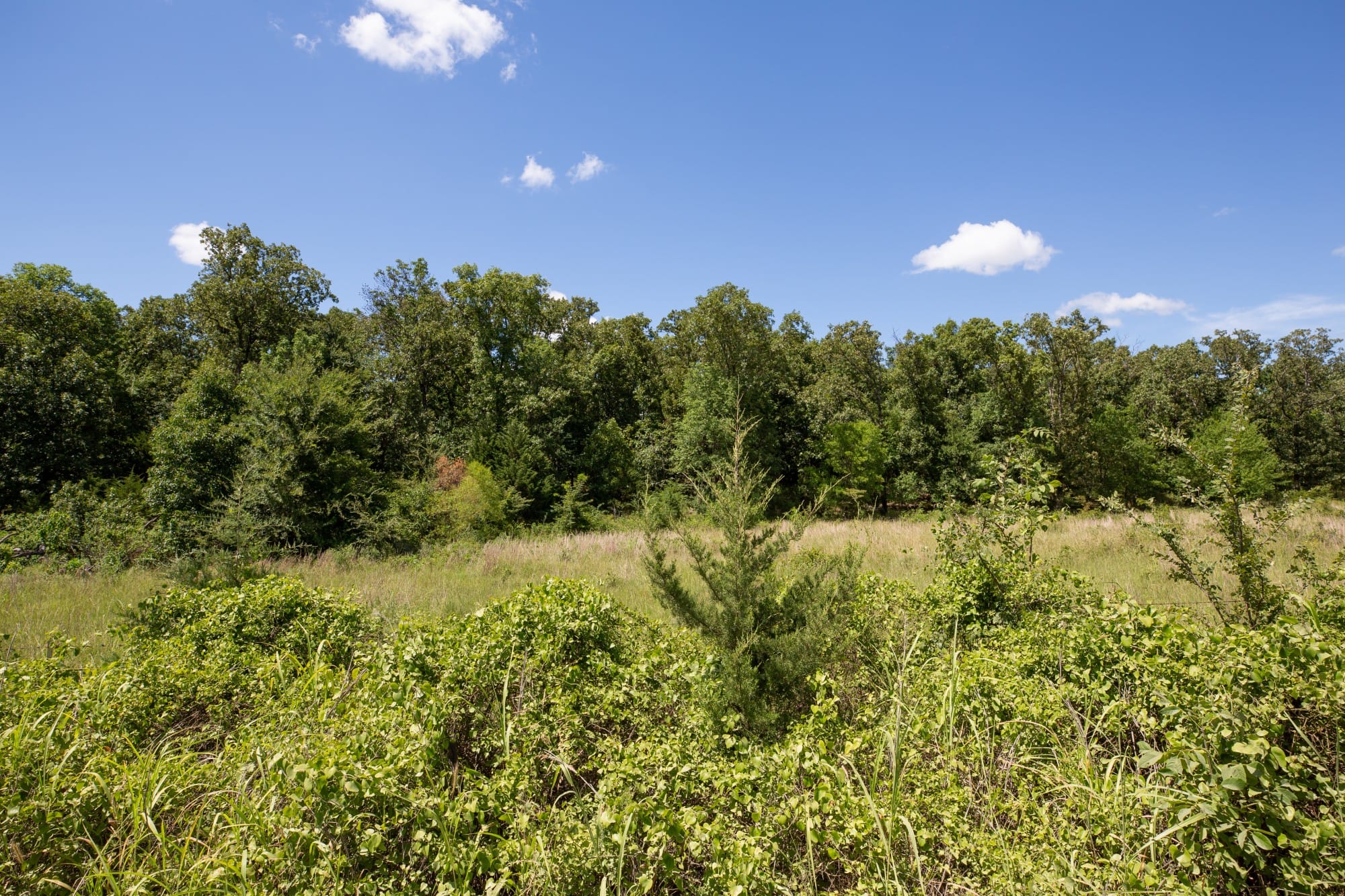 Paradise Valley Tract 22 photo 7