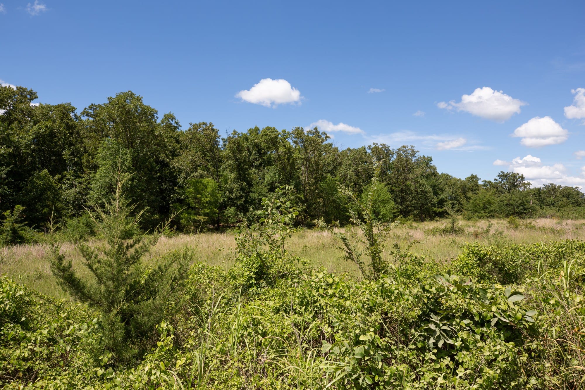 Paradise Valley Tract 22 photo 11