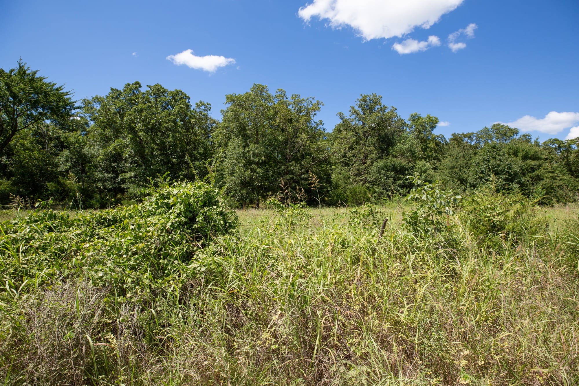 Paradise Valley Tract 22 photo 9