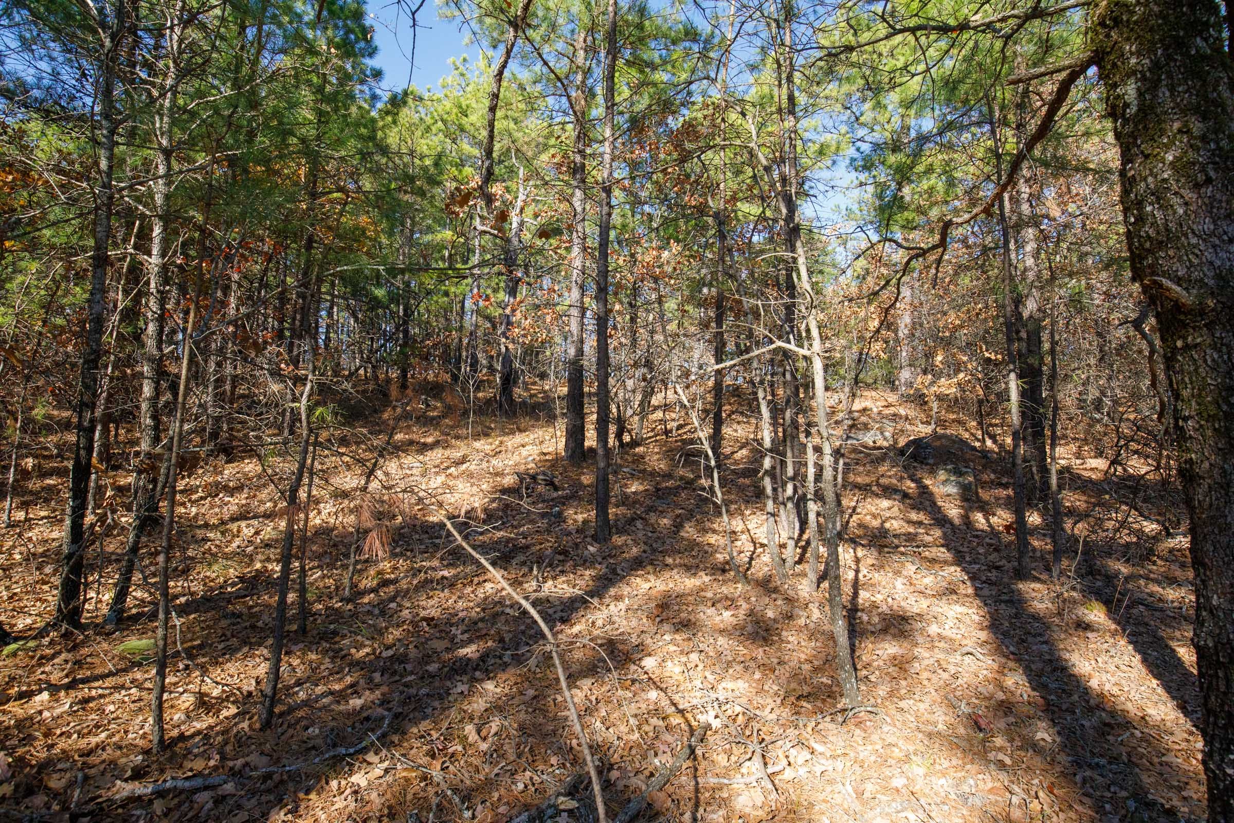 Stone Bridge Phase II Tract 96 photo 2