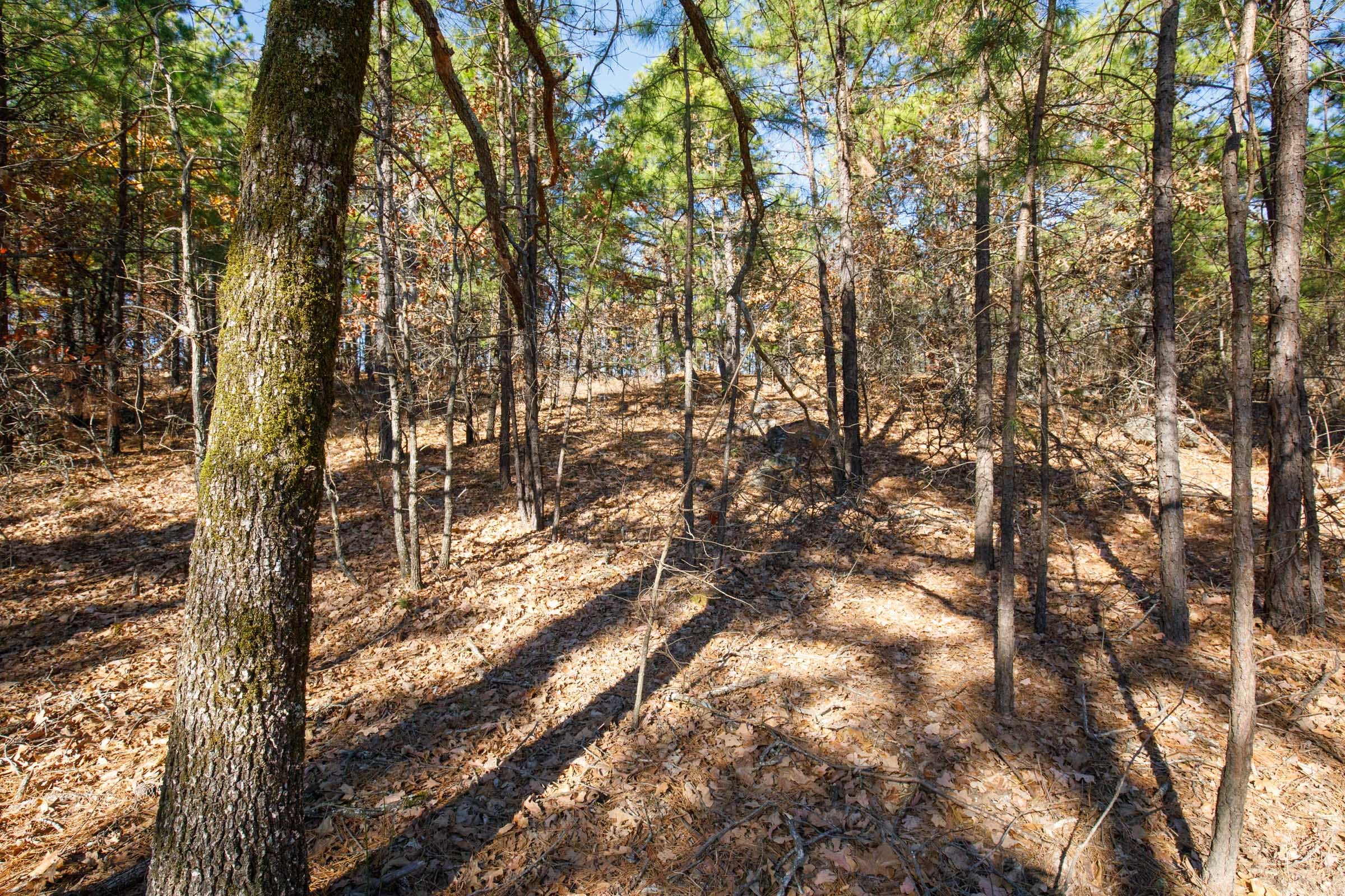 Stone Bridge Phase II Tract 96 photo 3