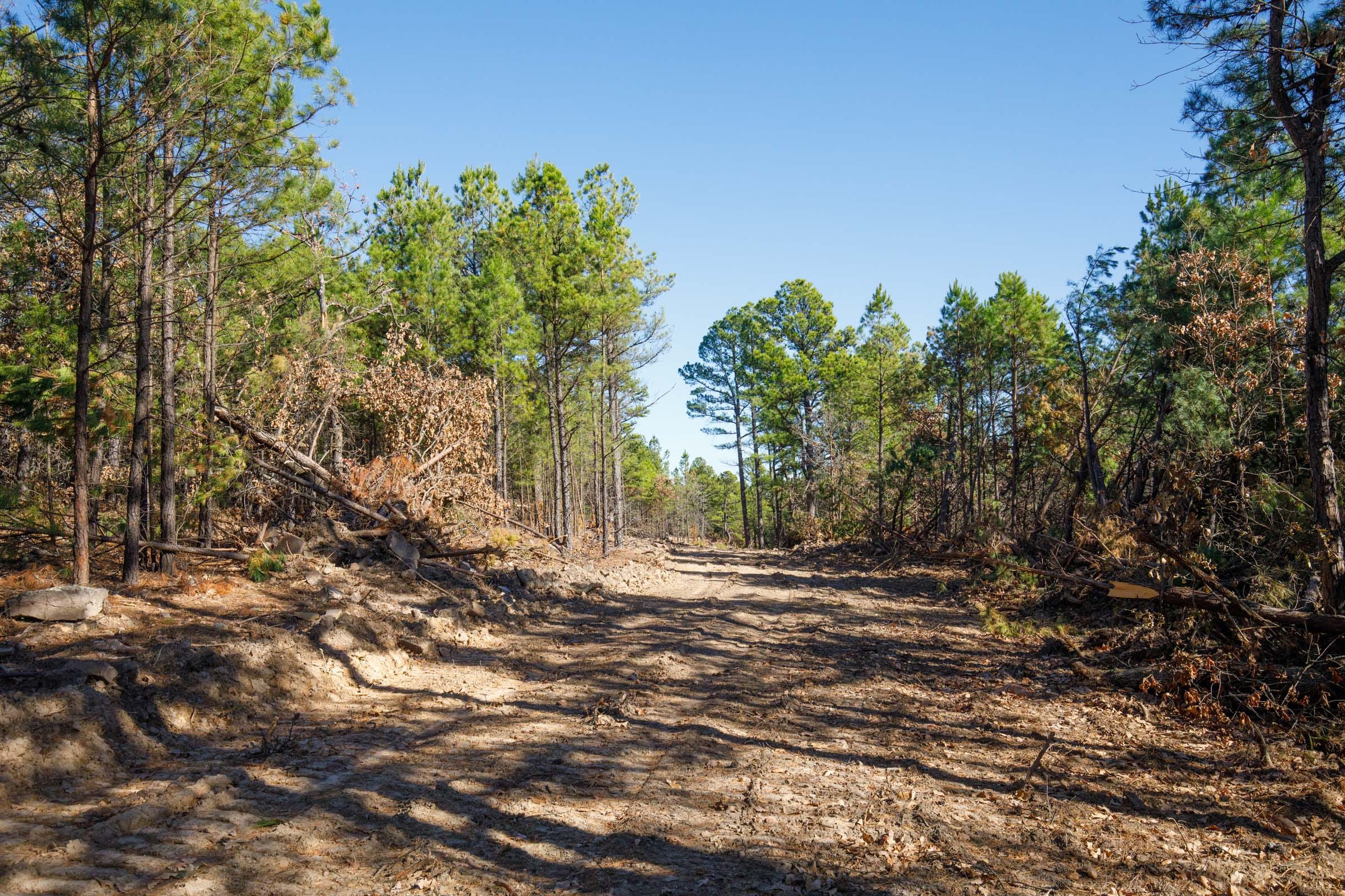 Stone Bridge Phase II Tract 96 photo 1
