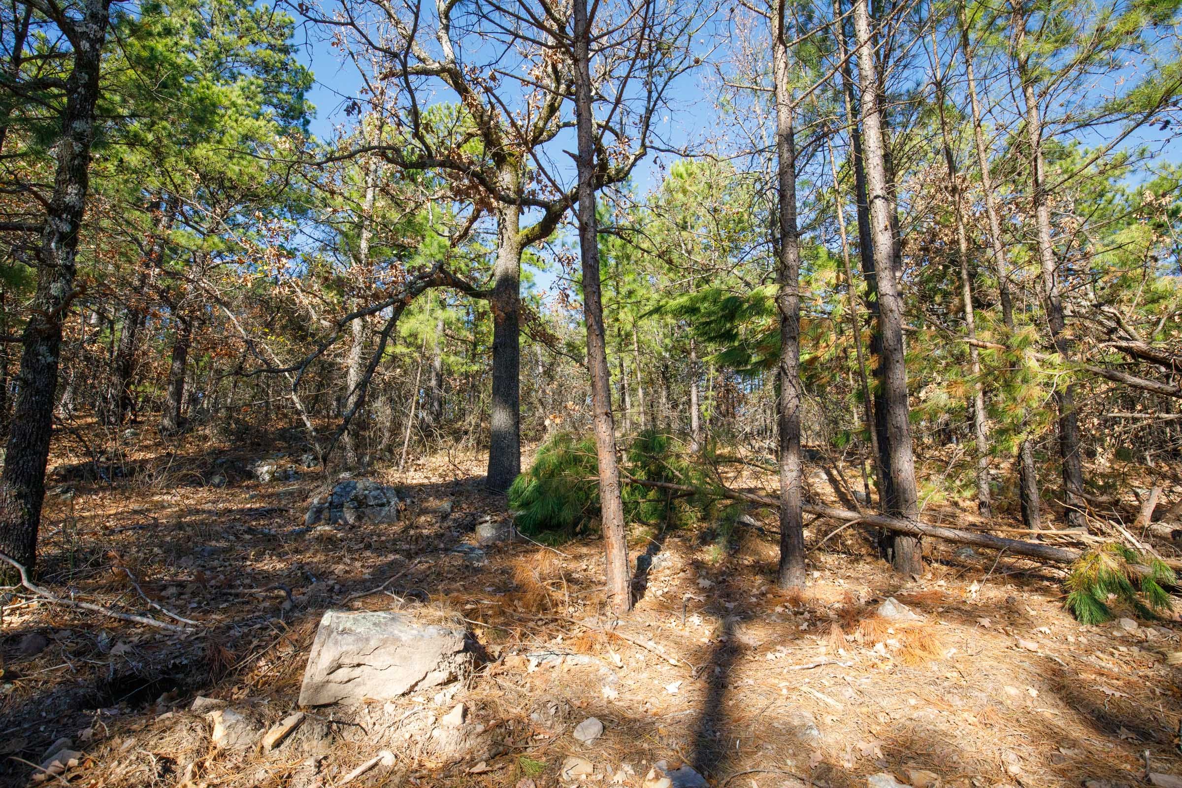 Stone Bridge Phase II Tract 96 photo 5