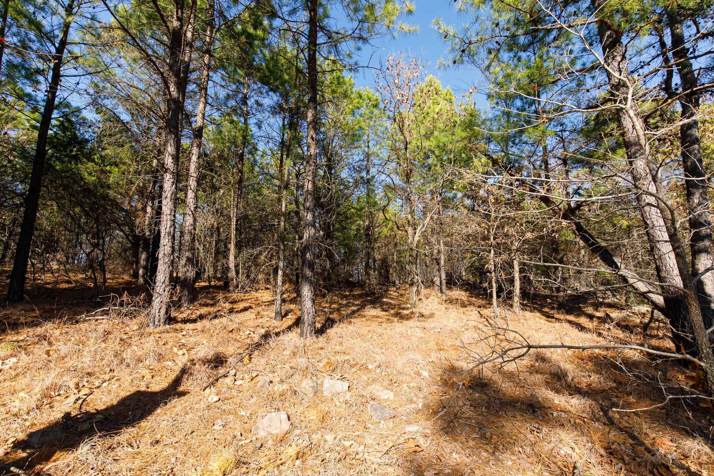 Stone Bridge Phase II Tract 96 photo 8