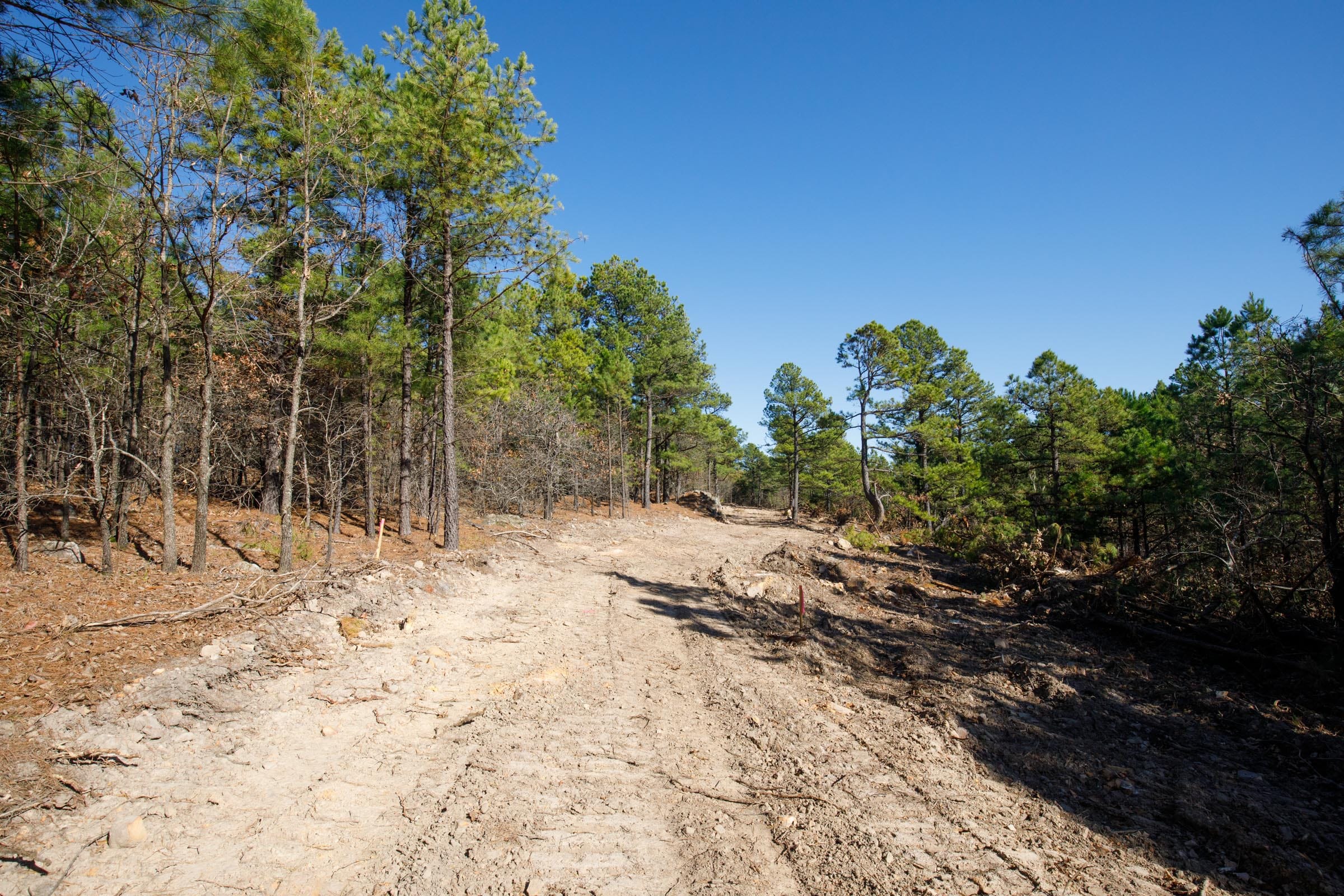 Stone Bridge Phase II Tract 96 photo 9