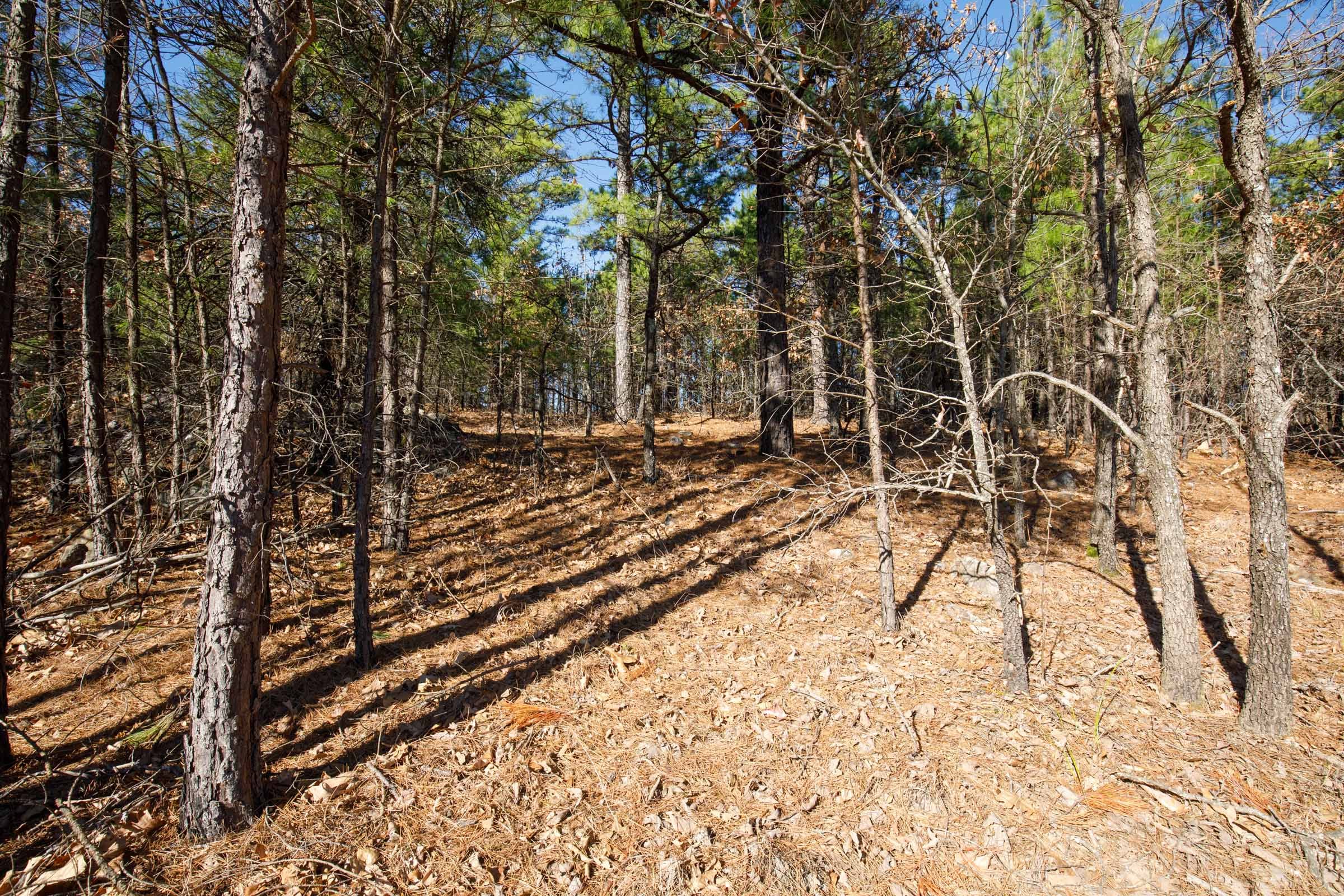 Stone Bridge Phase II Tract 96 photo 10