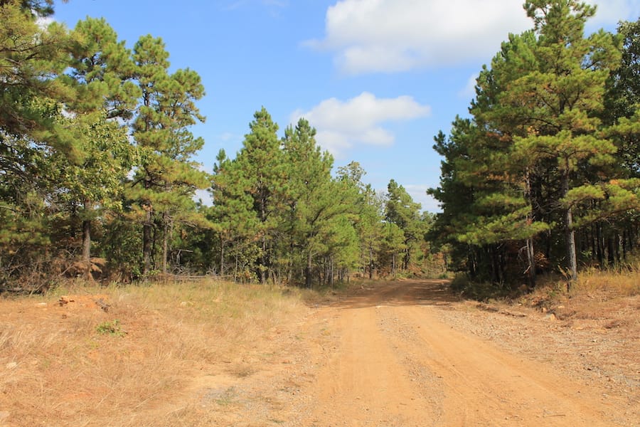 Indian Ridge – Phase III Tract 121 photo 2