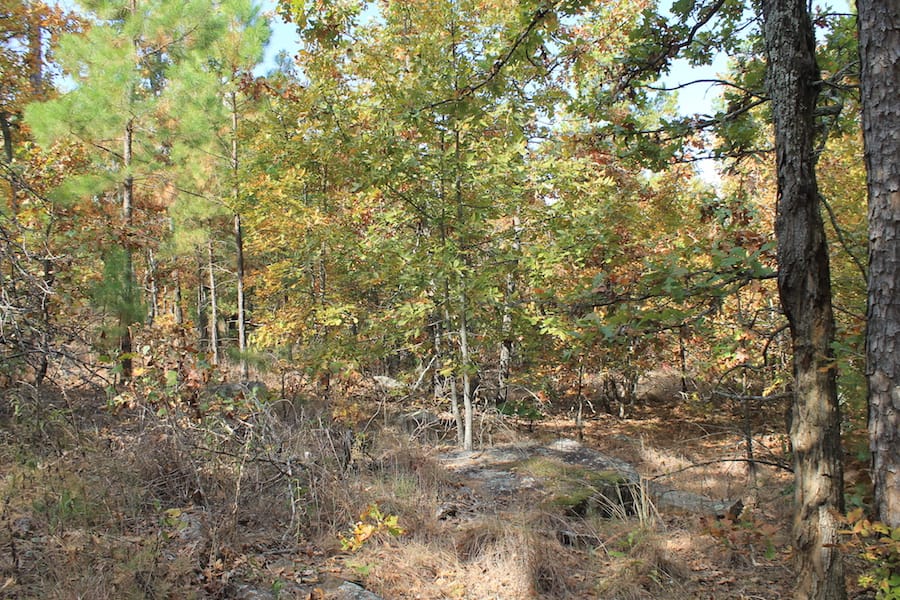 Indian Ridge – Phase III Tract 121 photo 3