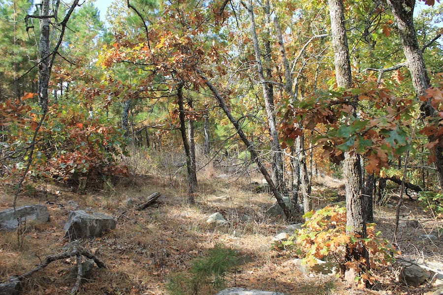 Indian Ridge – Phase III Tract 121 photo 4