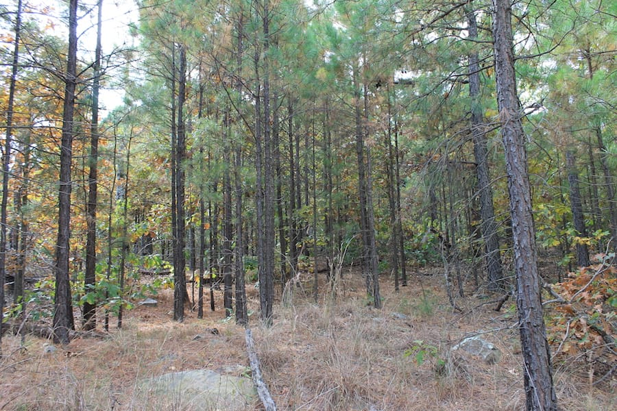 Indian Ridge – Phase III Tract 121 photo 5