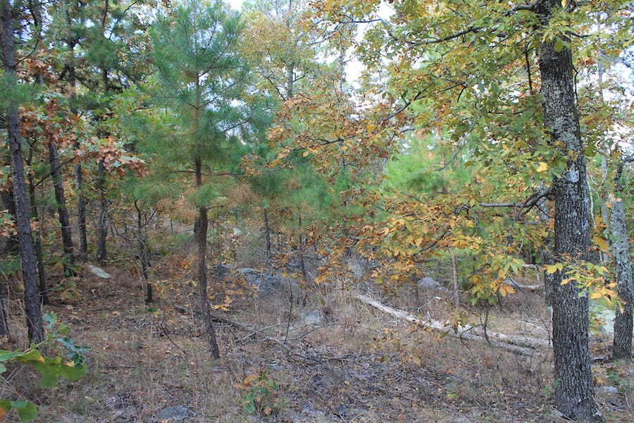 Indian Ridge – Phase III Tract 121 photo 6