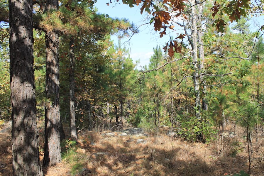 Indian Ridge – Phase III Tract 121 photo 7
