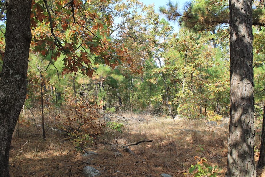 Indian Ridge – Phase III Tract 121 photo 8