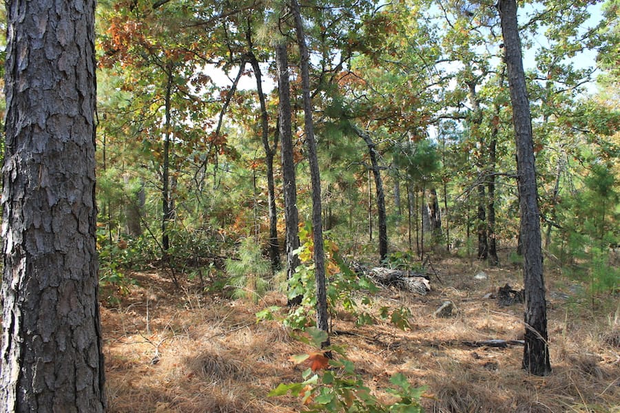 Indian Ridge – Phase III Tract 121 photo 9